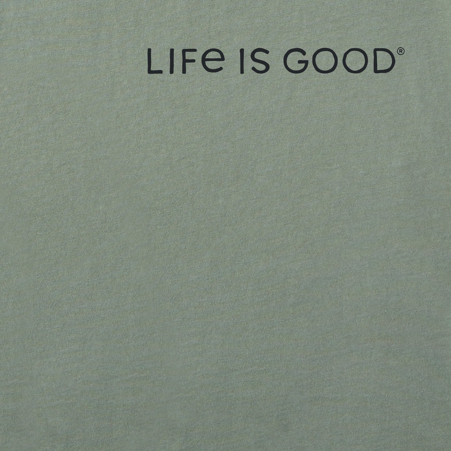 Women's Detailed Wildflower Garden Short Sleeve Crusher Boxy Tee