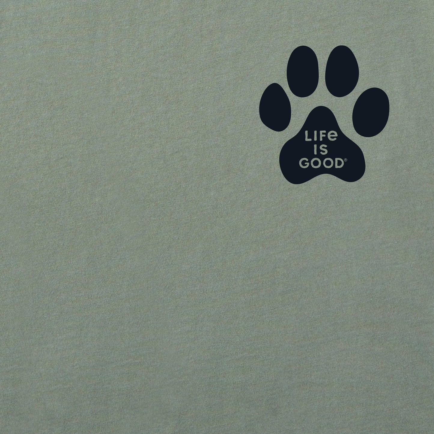 Women's Walking Paws Short Sleeve Crusher Boxy Tee