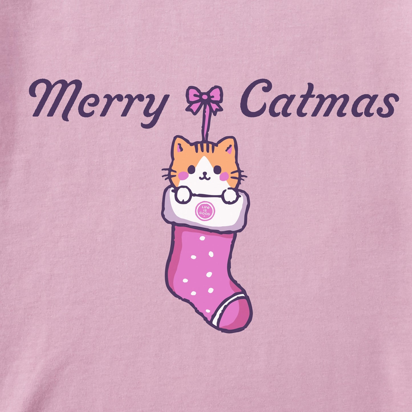 Kids Merry Catmas Stocking Long Sleeve Crusher Tee