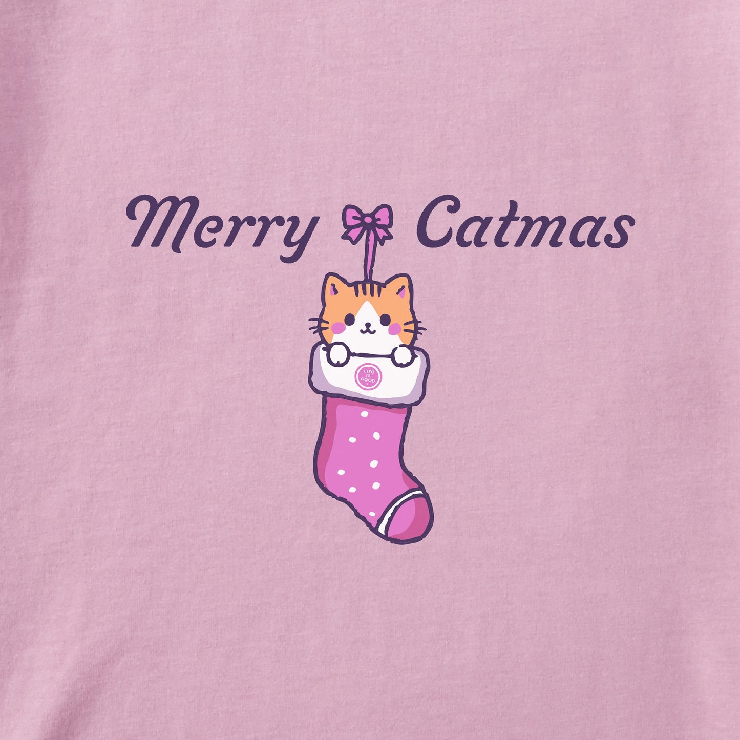 Toddler Merry Catmas Stocking Long Sleeve Crusher Tee