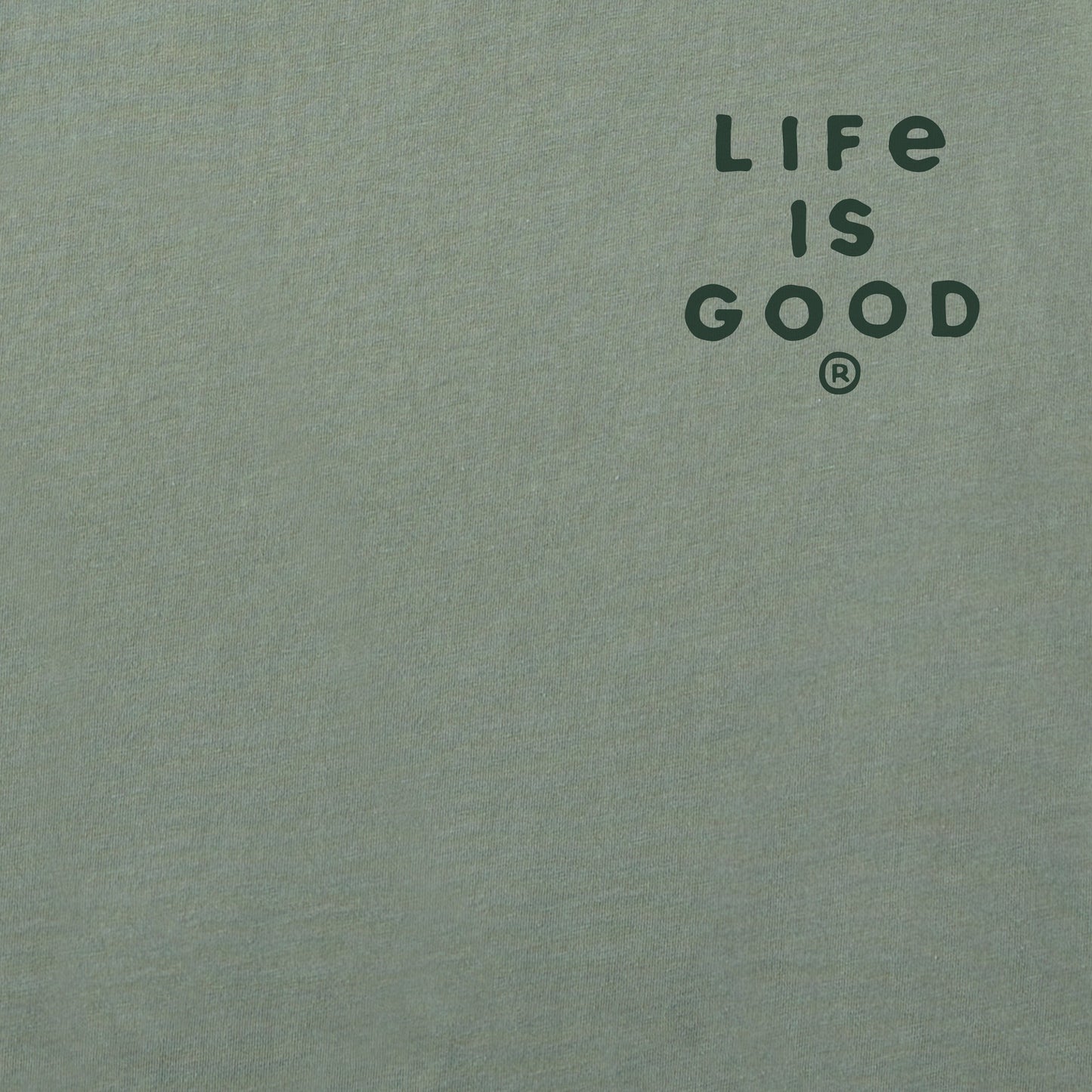 Men's Take a Hike Mountains Short Sleeve Crusher Tee