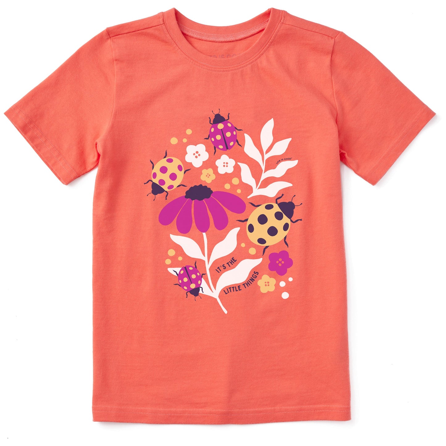 Kids It's the Little Ladybug Things Short Sleeve Crusher Tee