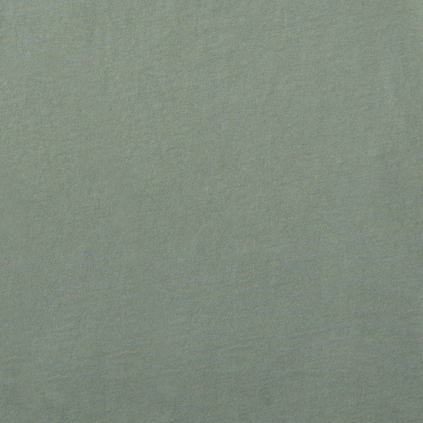 Men's Bert's Small but Might Chihuahua Short Sleeve Crusher Tee