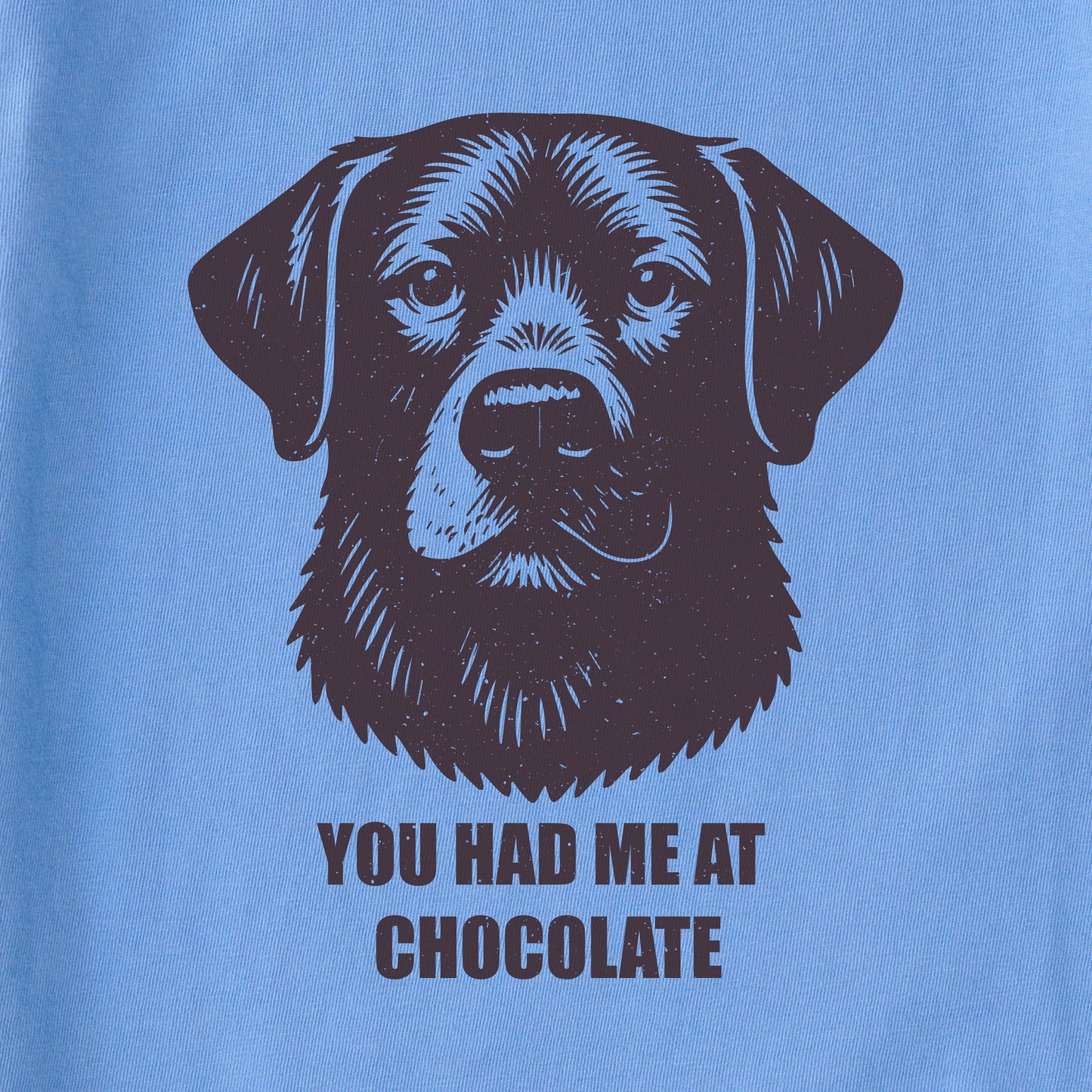 Women's Bert's You Had Me at Chocolate Lab Short Sleeve Crusher Tee