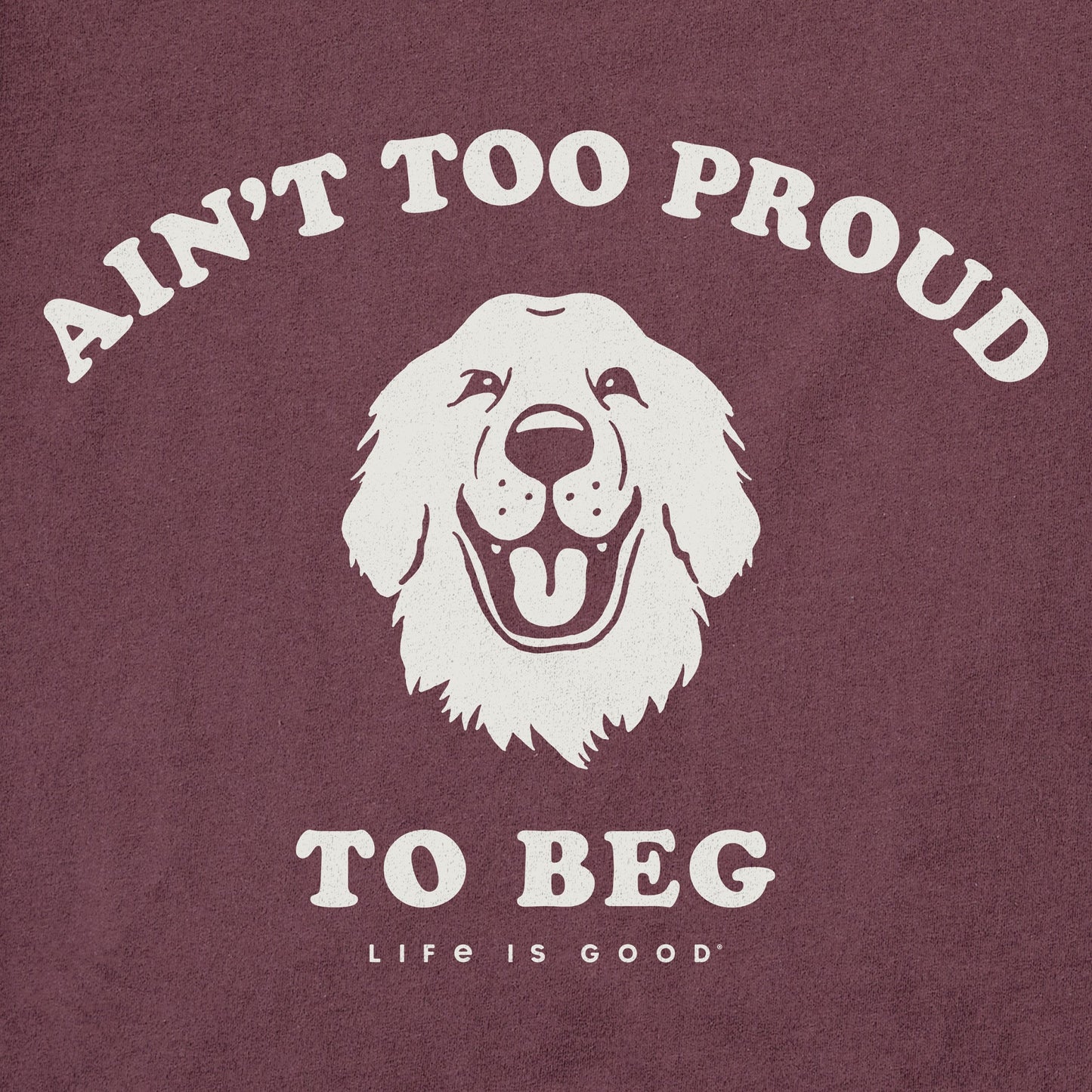 Men's Ain't Too Proud Short Sleeve Crusher Tee