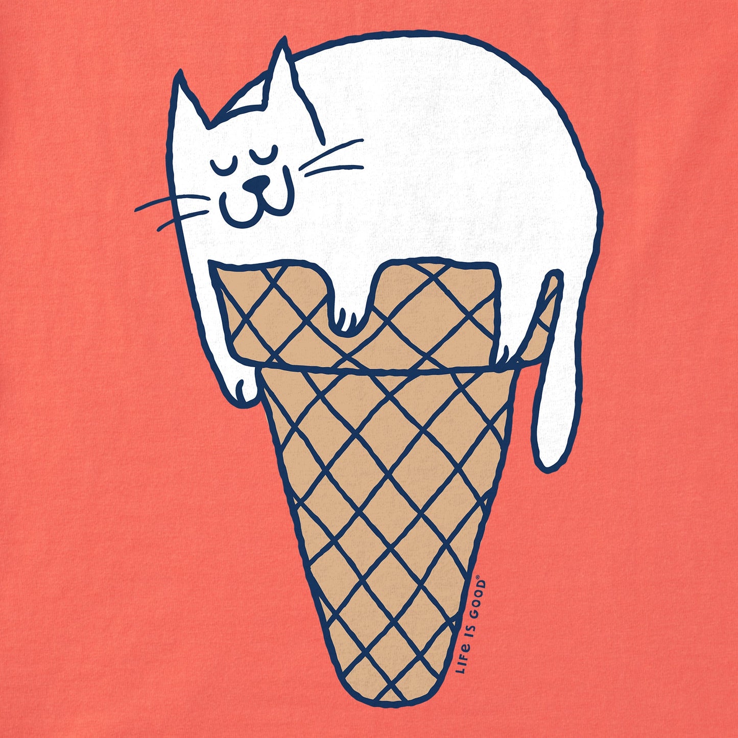 Kids Ice Cream Cat Short Sleeve Crusher Tee