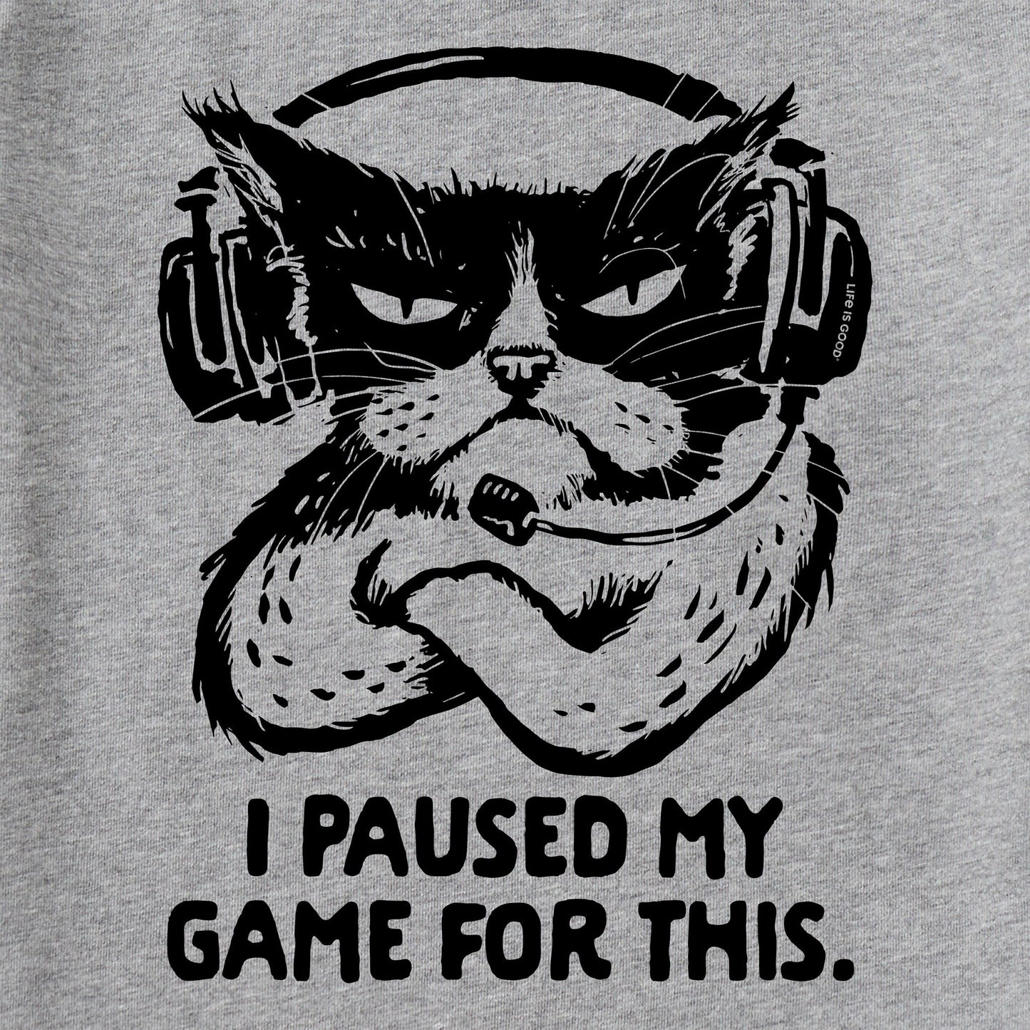 Kids I Paused My Game For This Short Sleeve Crusher Tee