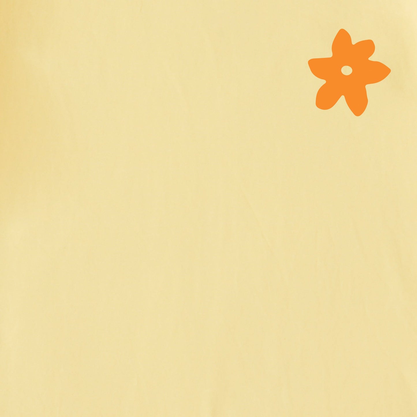 Women's Tulip Square Short Sleeve Crusher Tee