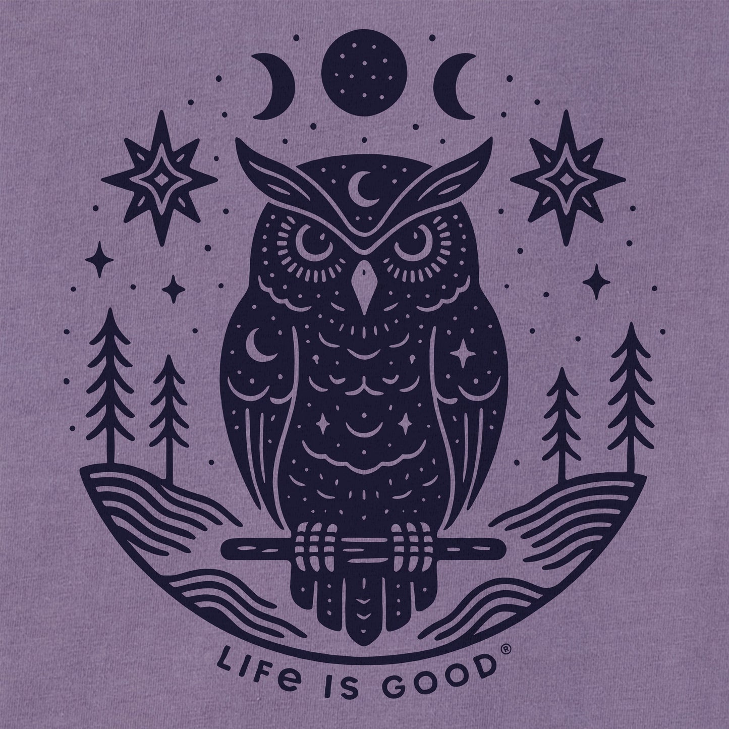 Women's Witchy Owl Short Sleeve Crusher Boxy Tee