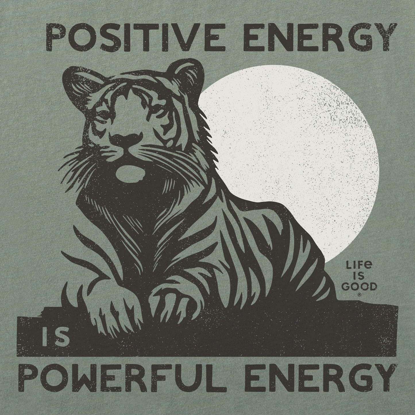 Women's Powerful Energy Tiger Short Sleeve Crusher Boxy Tee