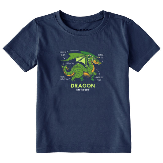 Toddler Dragon Facts Short Sleeve Crusher Tee
