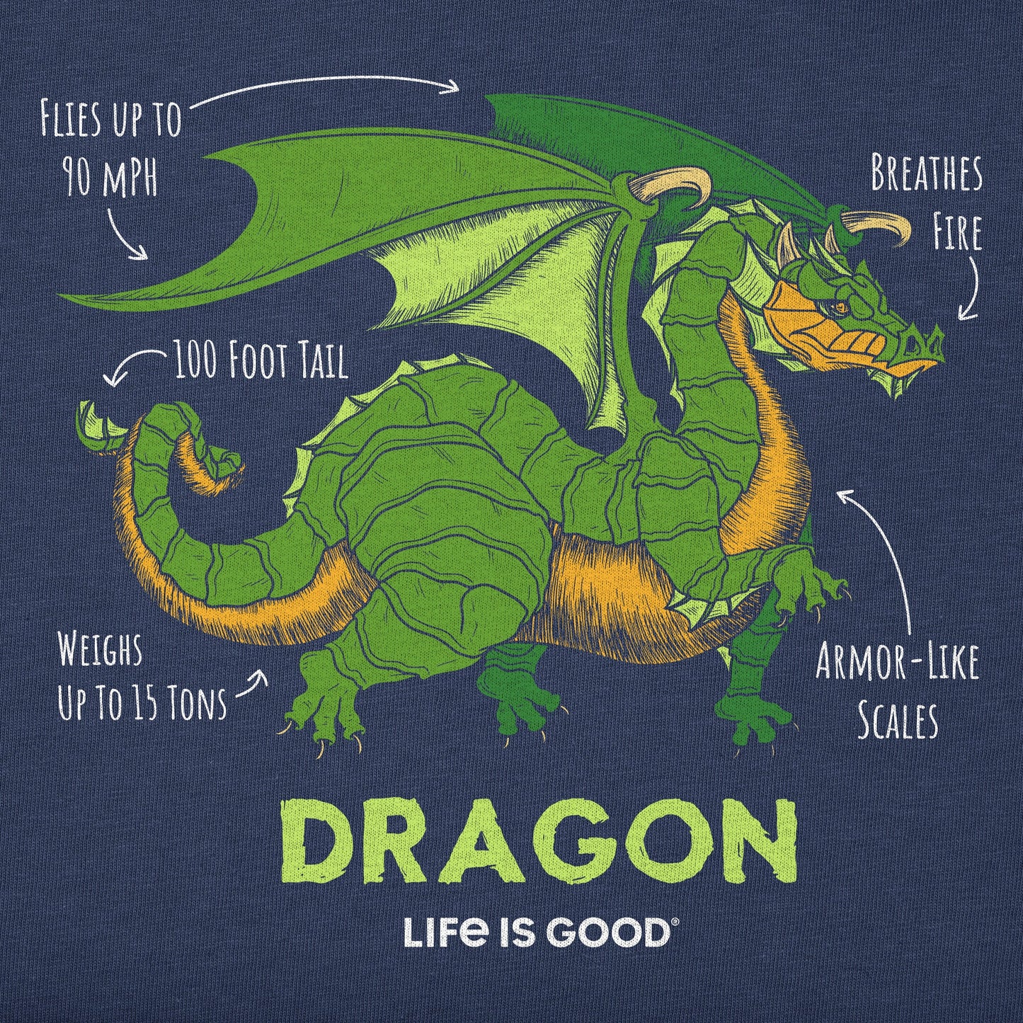 Toddler Dragon Facts Short Sleeve Crusher Tee