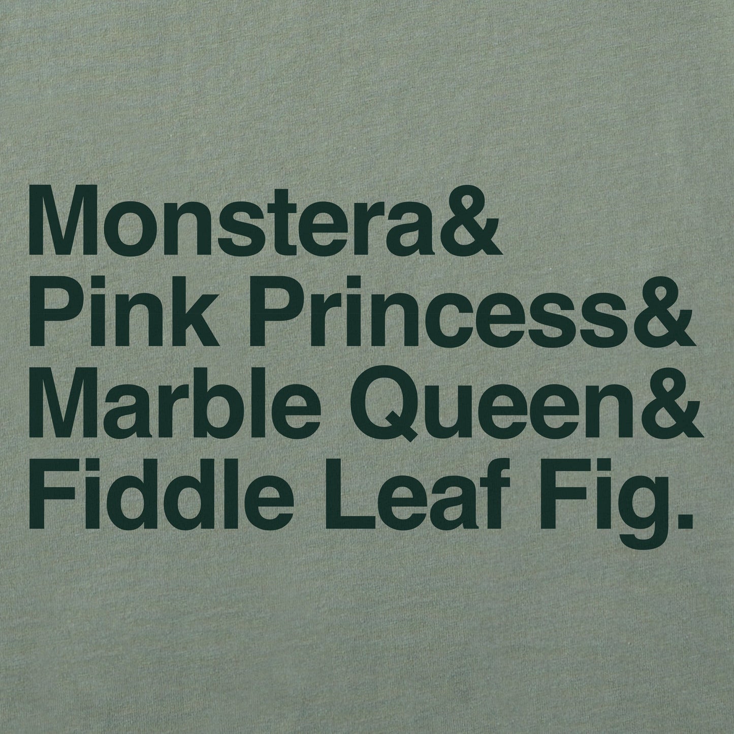 Men's Houseplants Stack Short Sleeve Crusher Tee