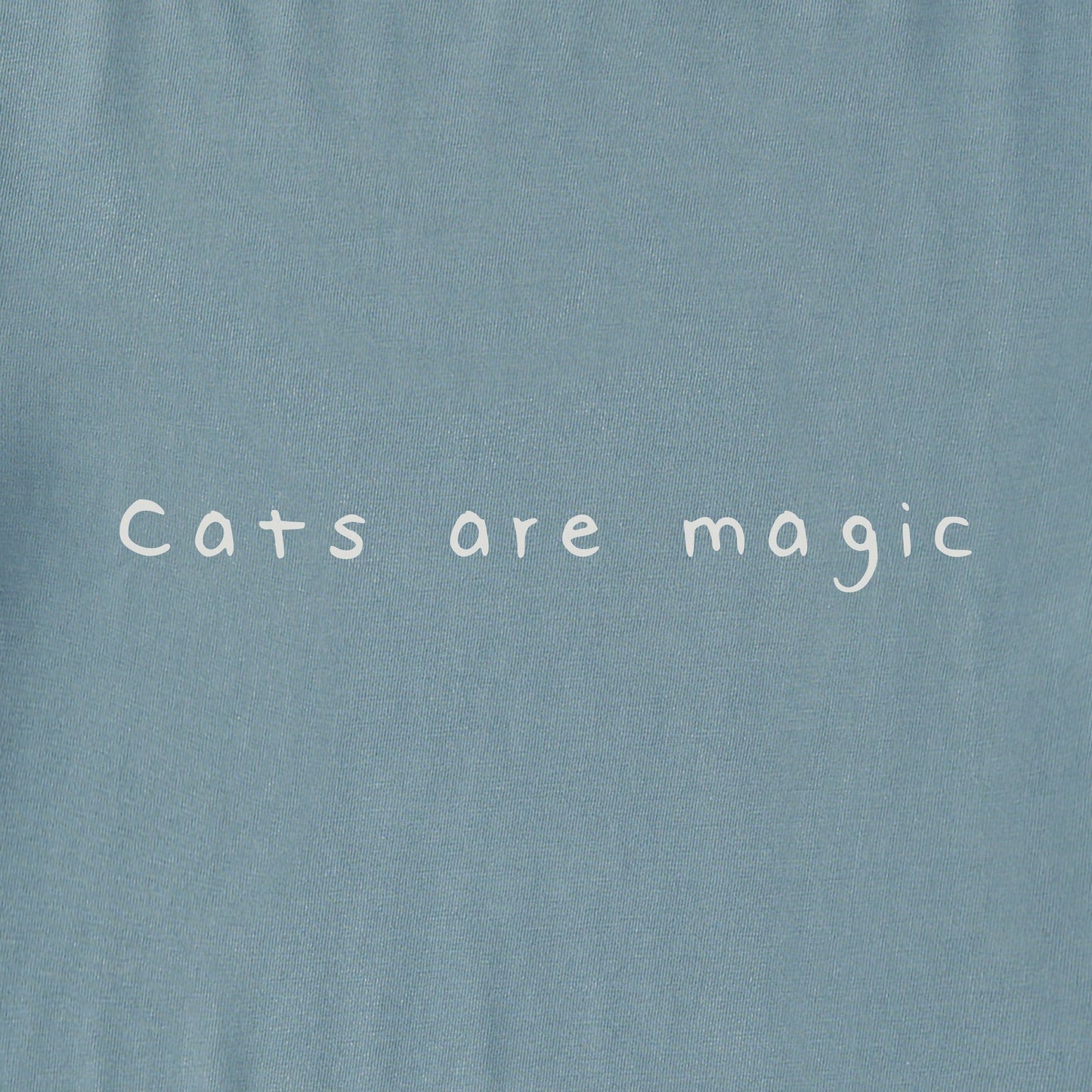 Men's Bert's Smile Cat Short Sleeve Crusher Tee