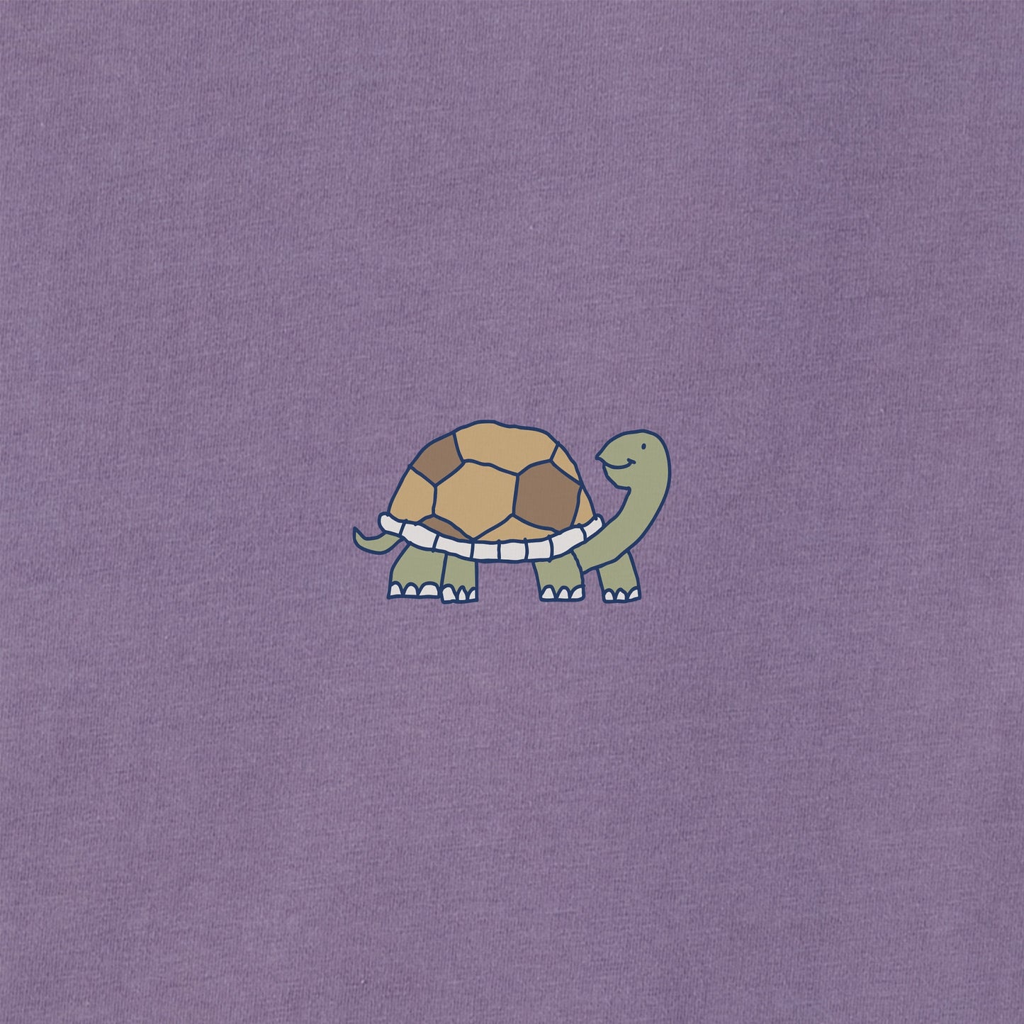 Women's Bert's Smile Turtle Short Sleeve Crusher Boxy Tee