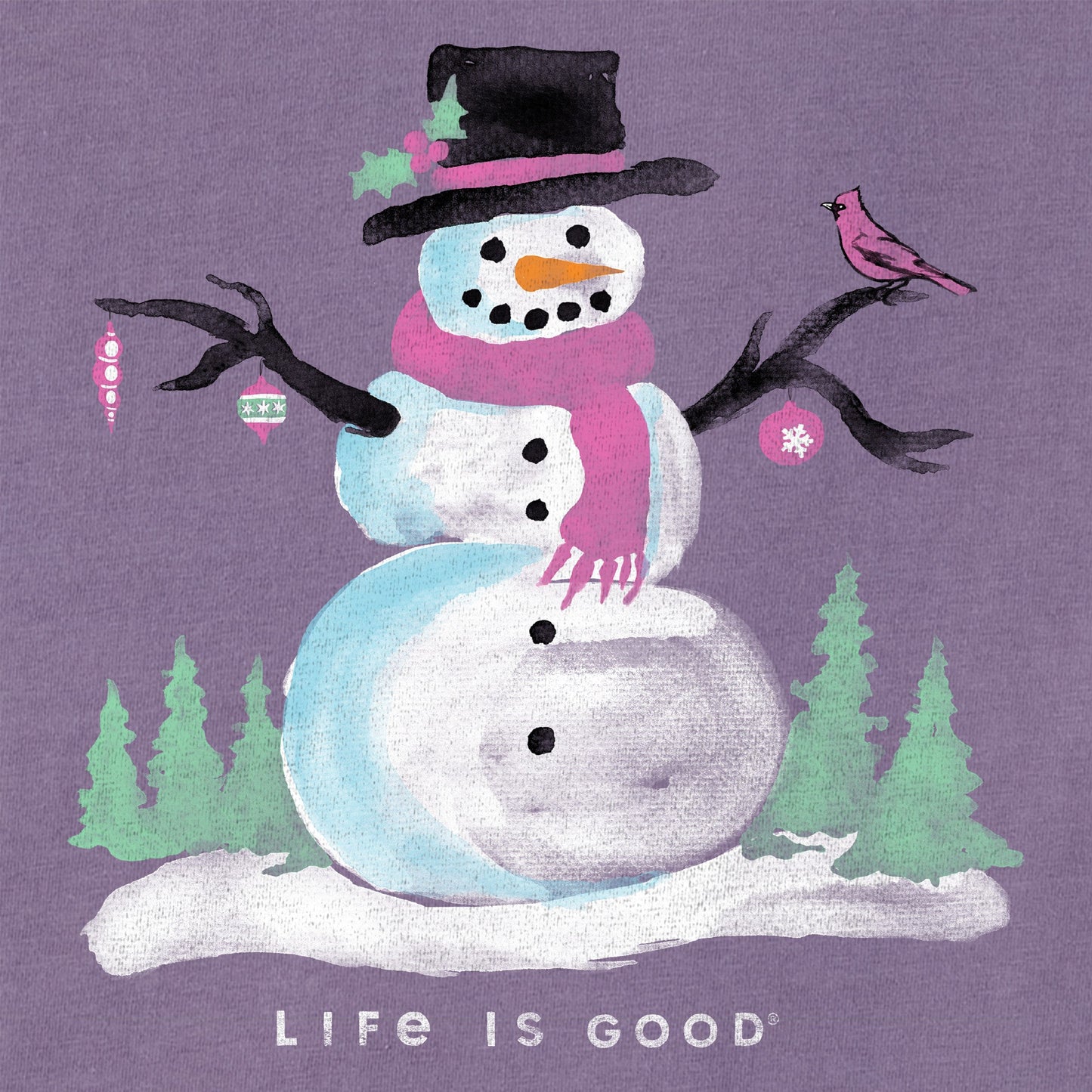 Women's Frosty Friends Long Sleeve Crusher Tee