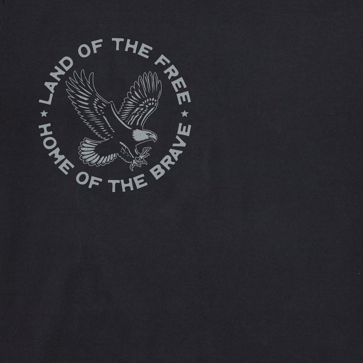 Men's Land of the Free I Like it Here Short Sleeve Crusher Tee