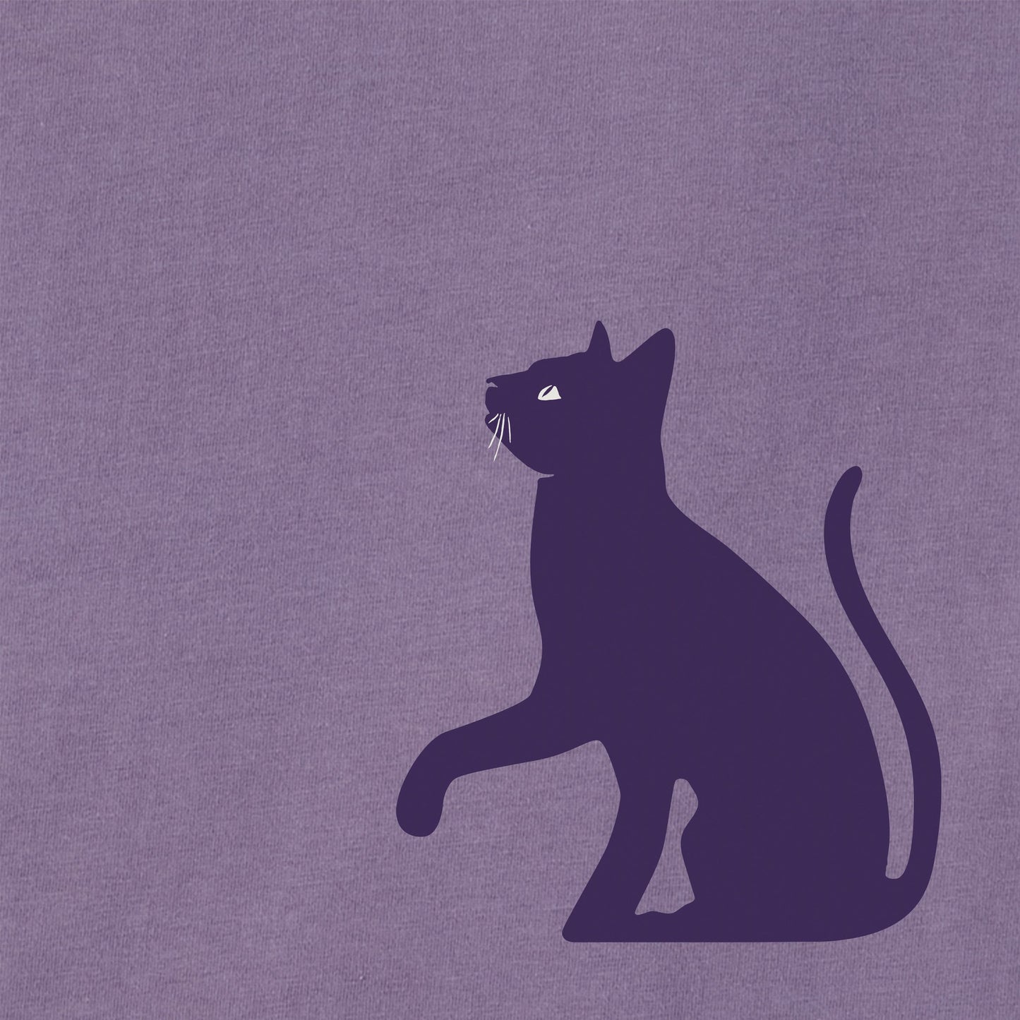 Women's Two Curious Cats Short Sleeve Crusher Tee