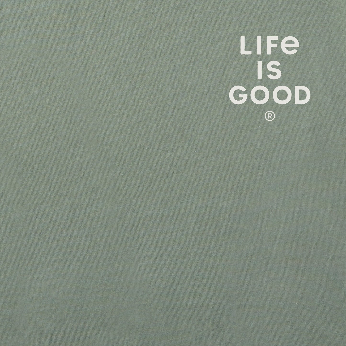 Men's Bert's Big Things Short Sleeve Crusher Tee