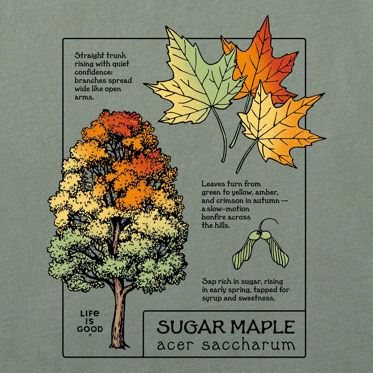 Men's Marvelous Sugar Maple Short Sleeve Crusher Tee