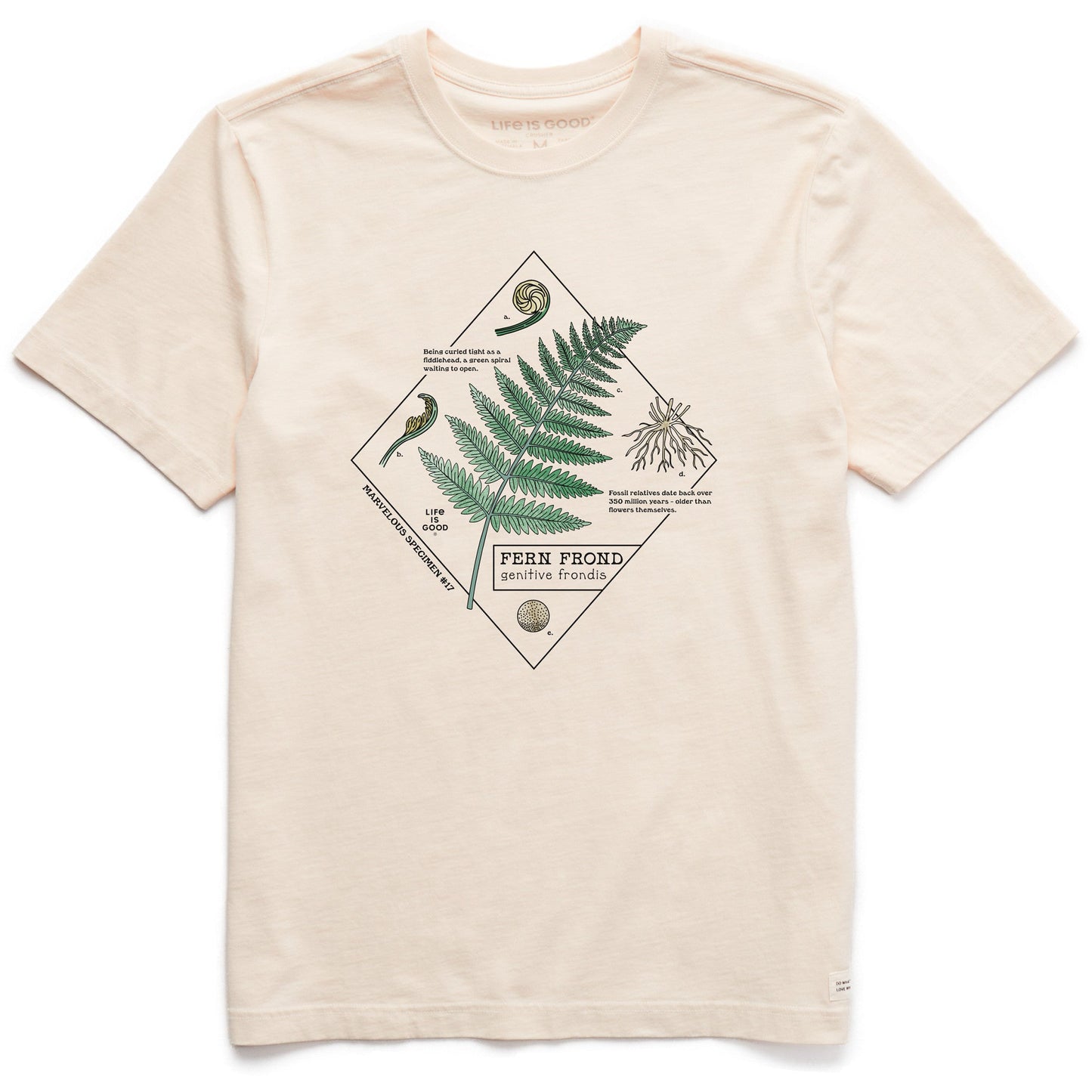 Men's Marvelous Ferns Short Sleeve Crusher Tee