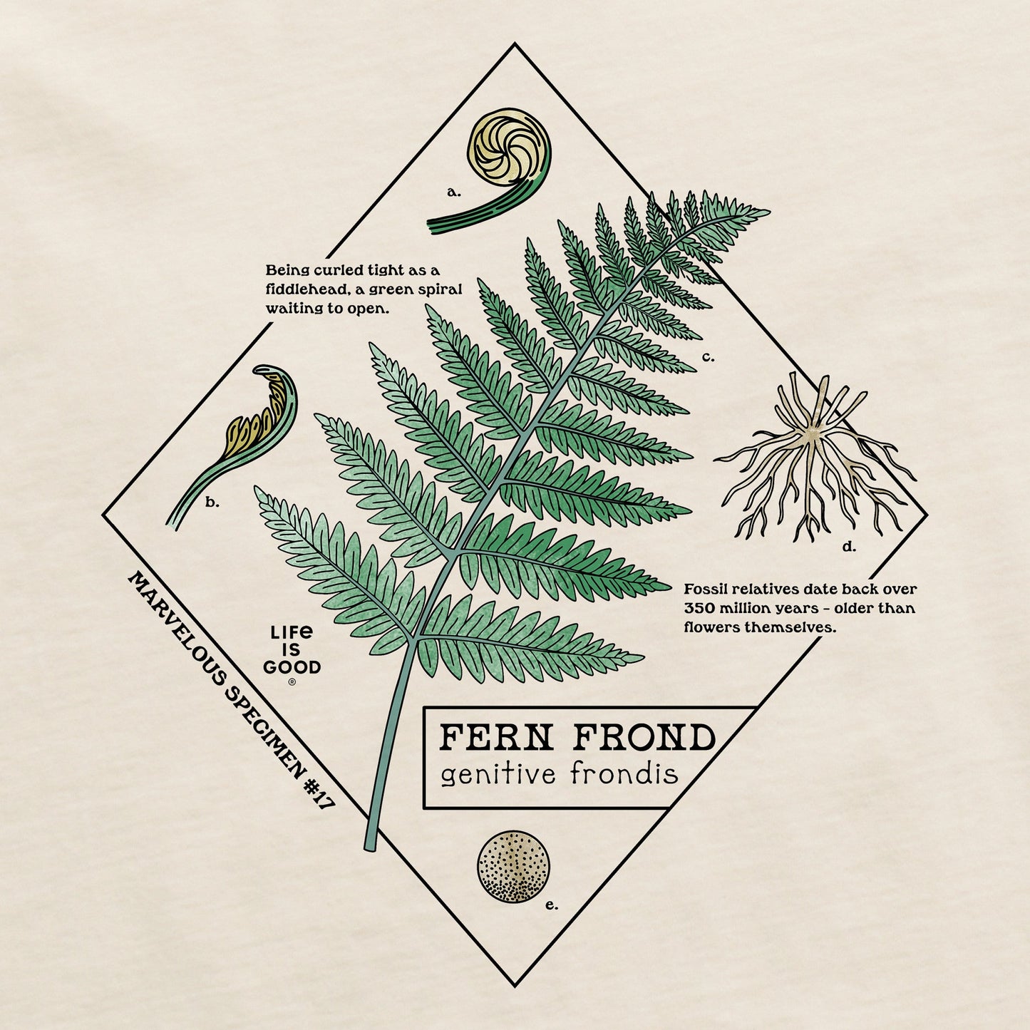 Men's Marvelous Ferns Short Sleeve Crusher Tee