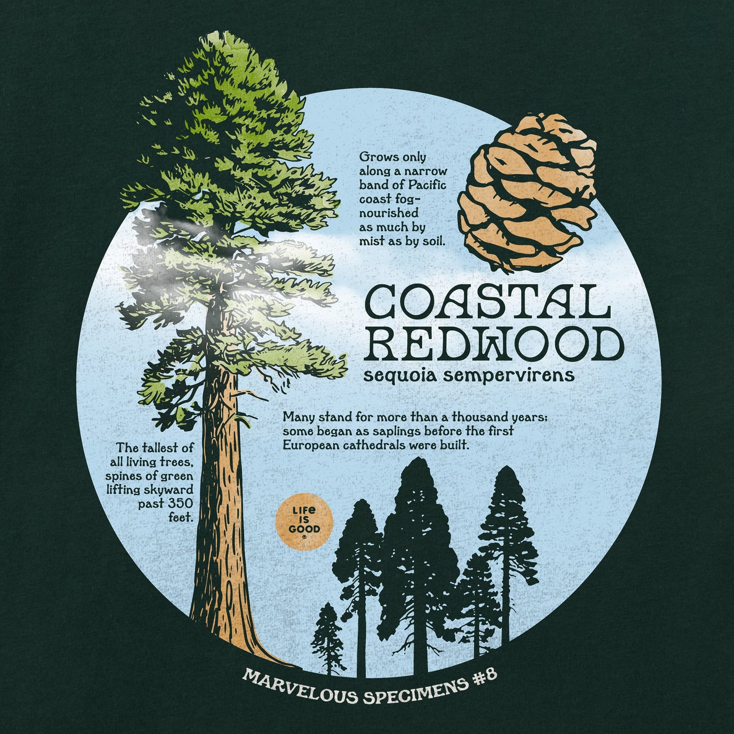 Men's Coastal Redwood Long Sleeve Crusher Tee