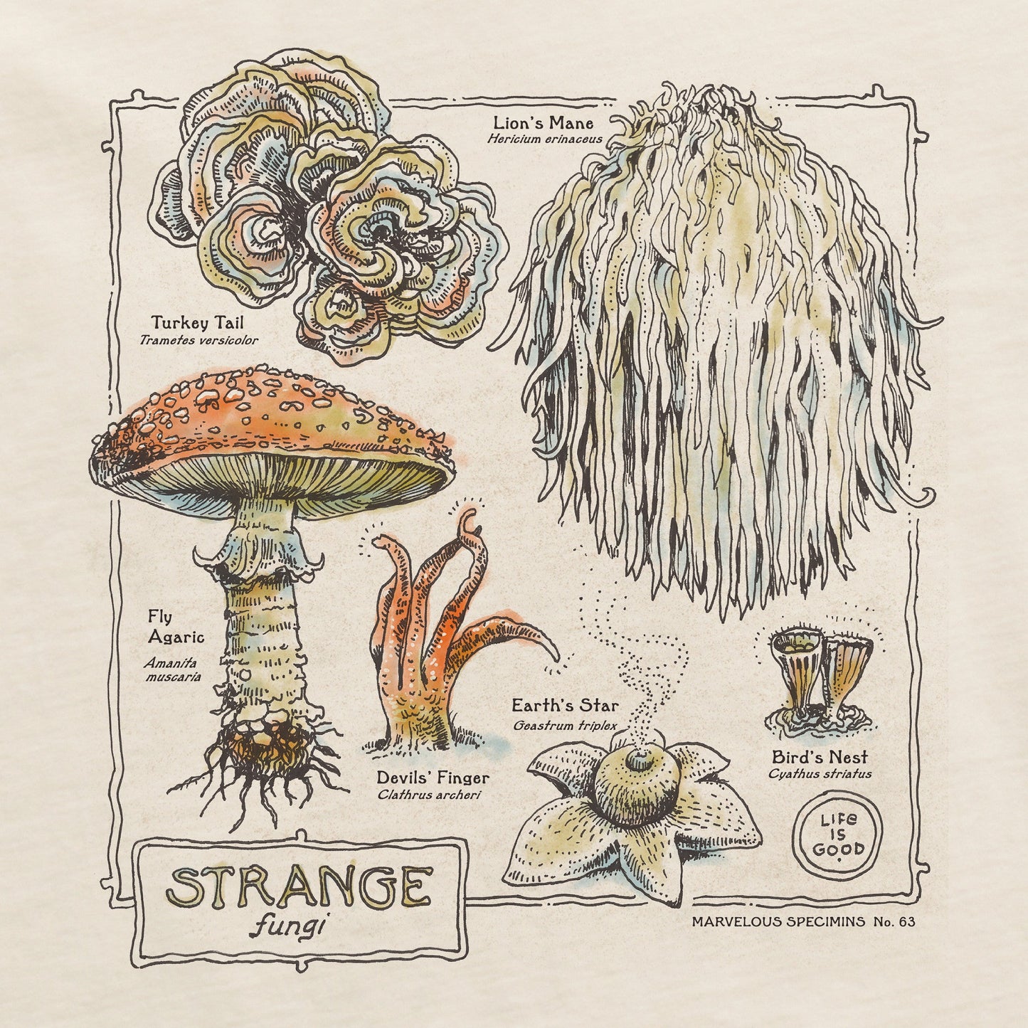 Women's Stange Fungi Crusher-LITE Shrunken Tee