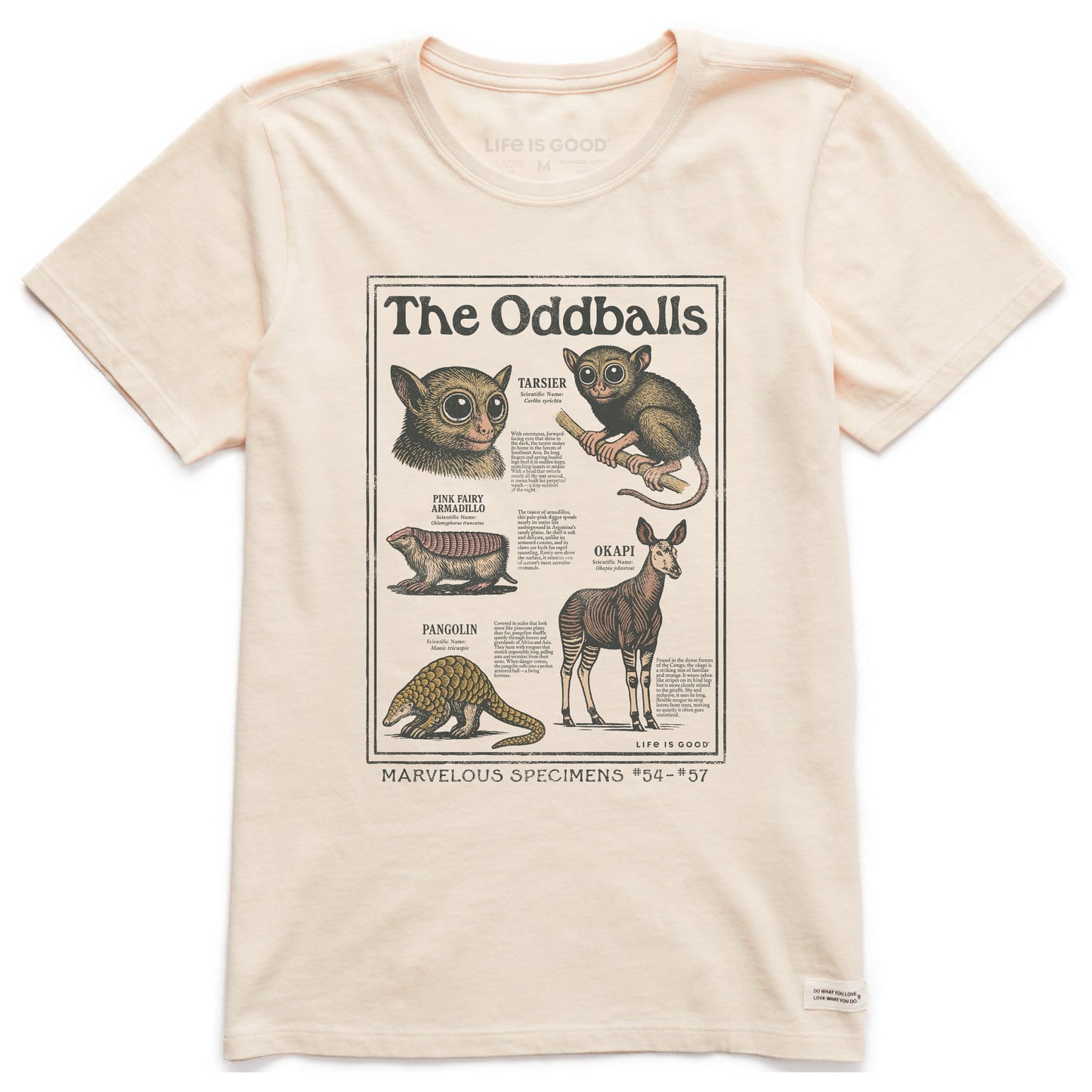 Women's The Oddballs Short Sleeve Crusher Tee