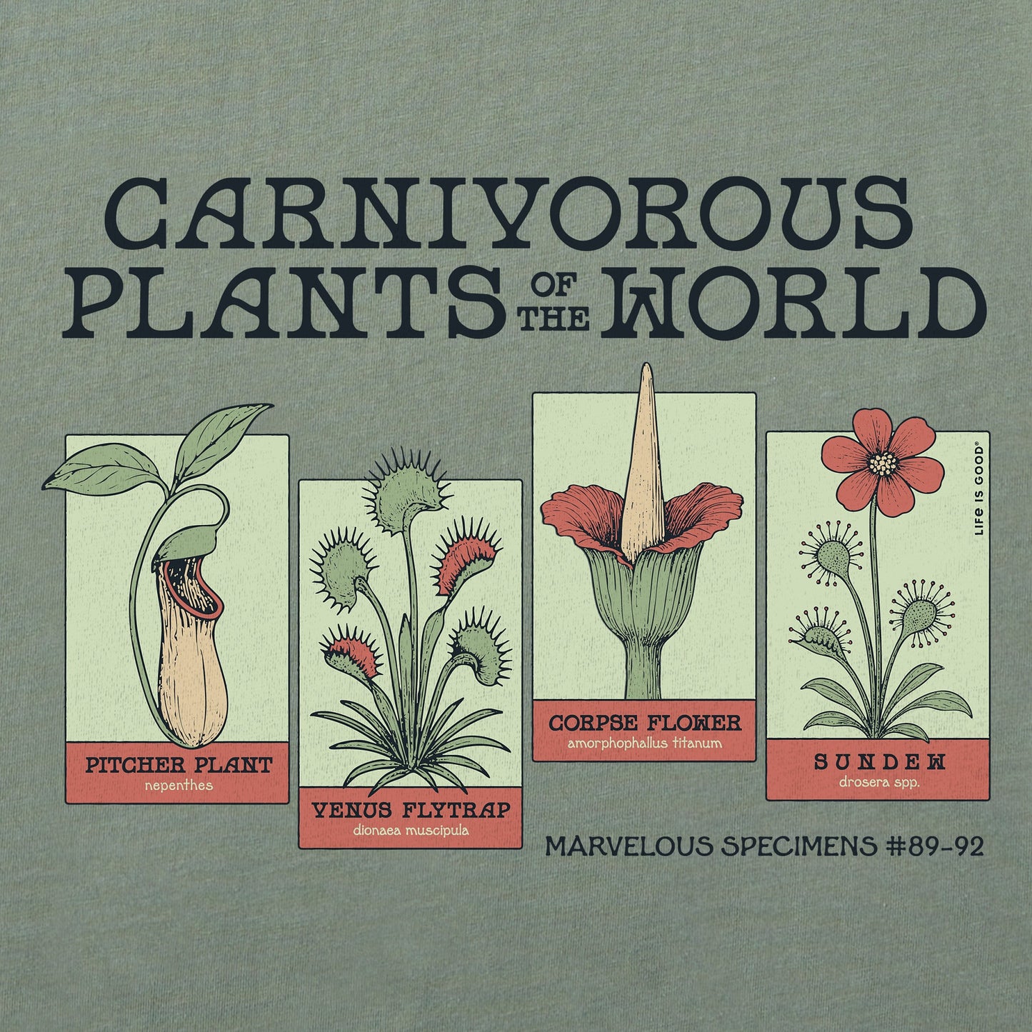 Women's Carnivorous Plants Short Sleeve Crusher Tee