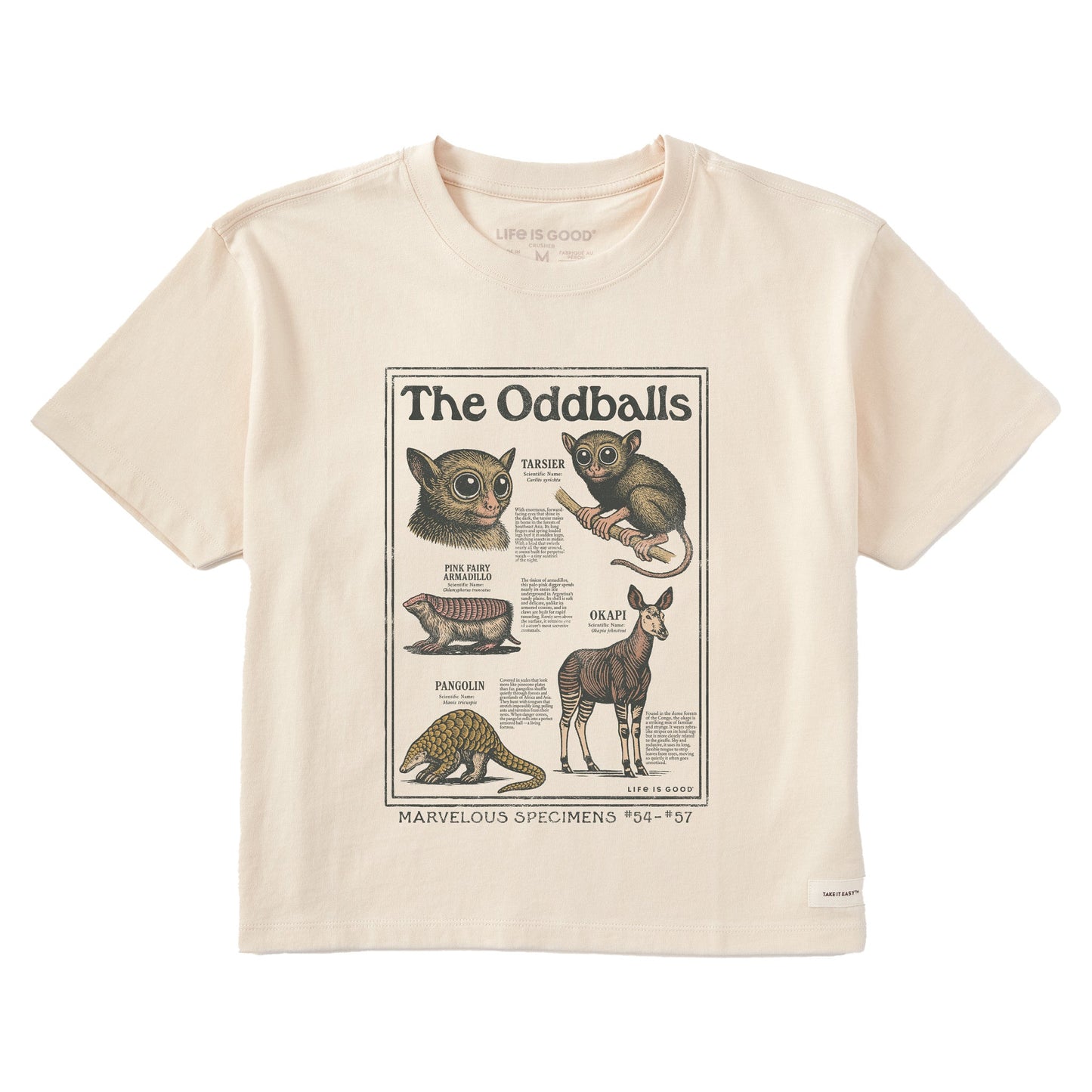 Women's The Oddballs Short Sleeve Crusher Boxy Tee