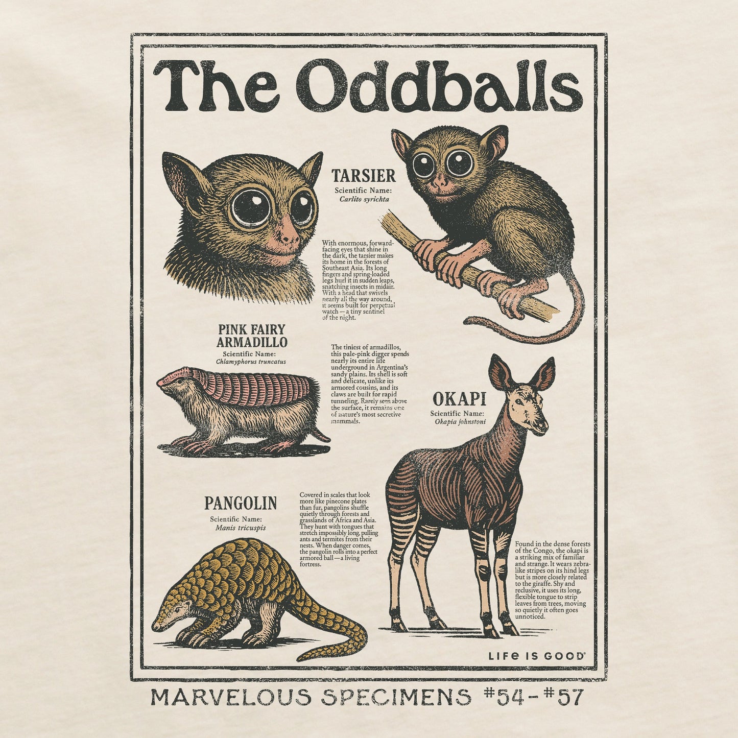 Women's The Oddballs Short Sleeve Crusher Boxy Tee