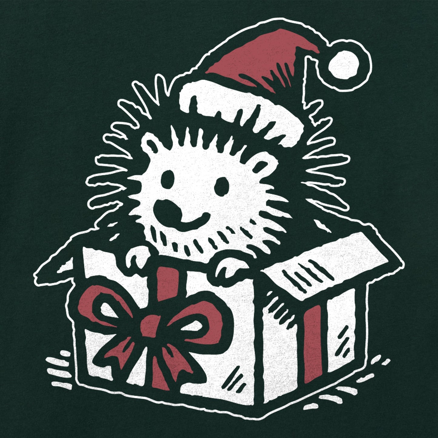 Kids Hedgehog Santa Long Sleeve Crusher Tee