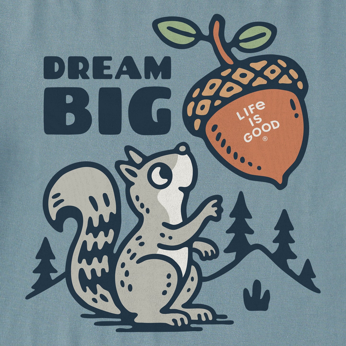 Women's Dream Big Squirrel Short Sleeve Crusher Tee