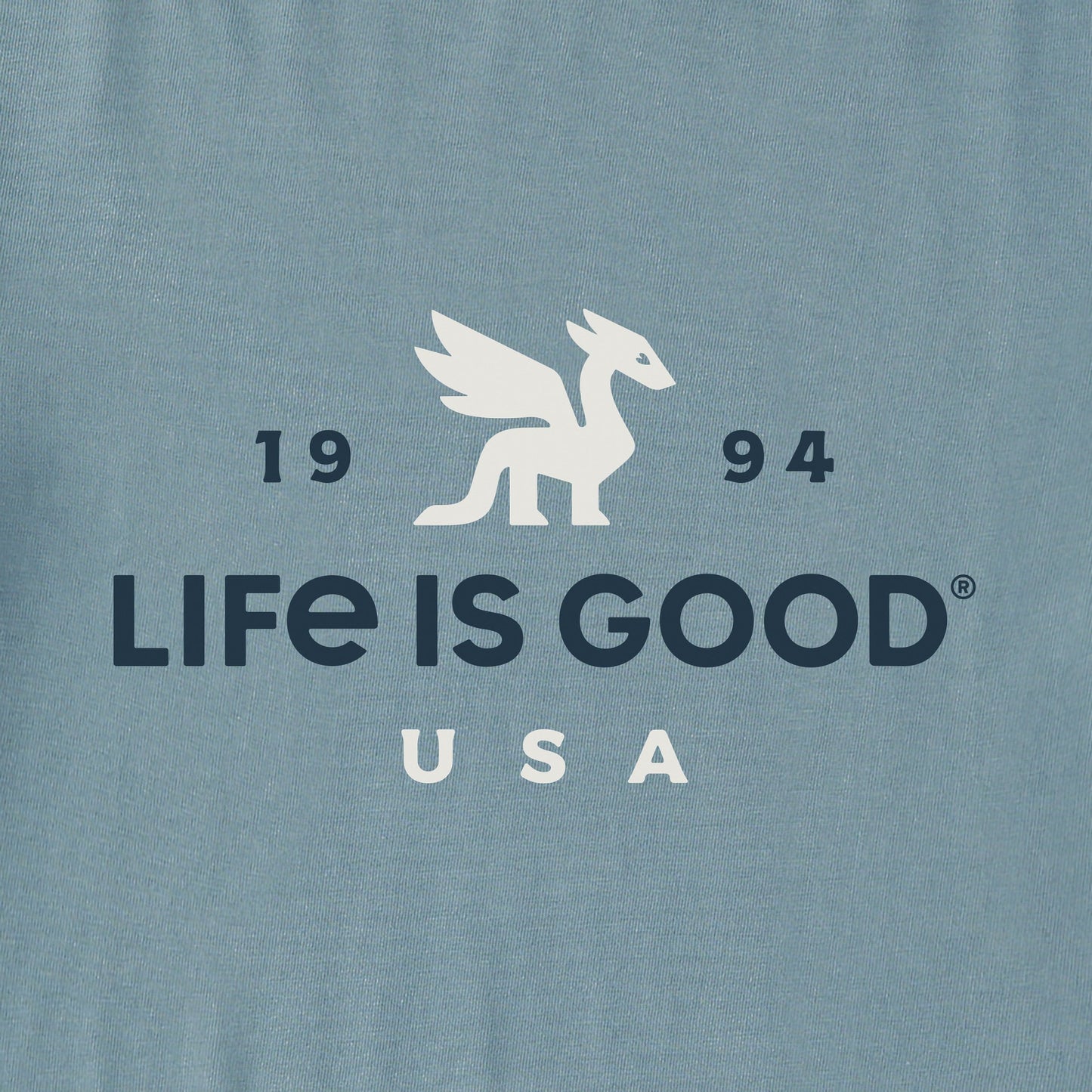 Men's USA Dragon Simply True Fleece Hoodie