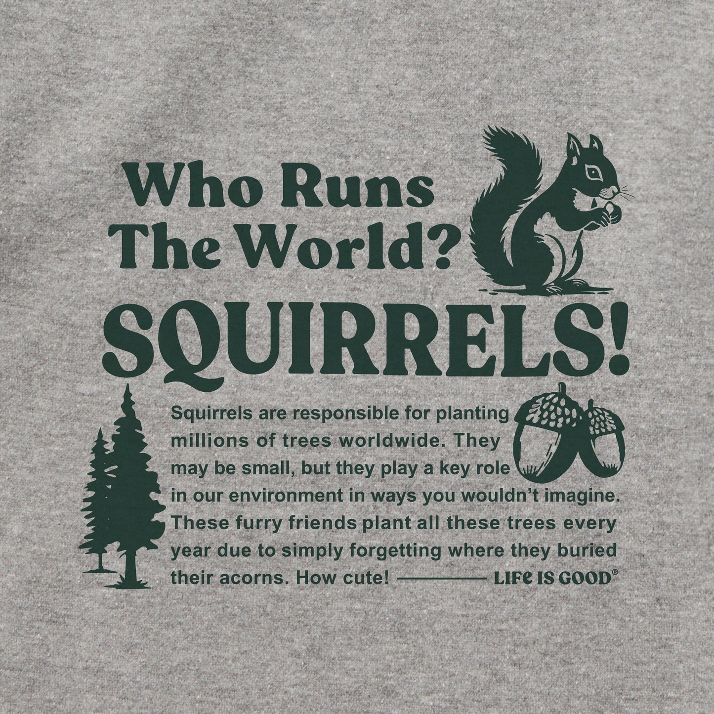 Kids Squirrels Run the World Every Wear Hoodie Sweatshirt