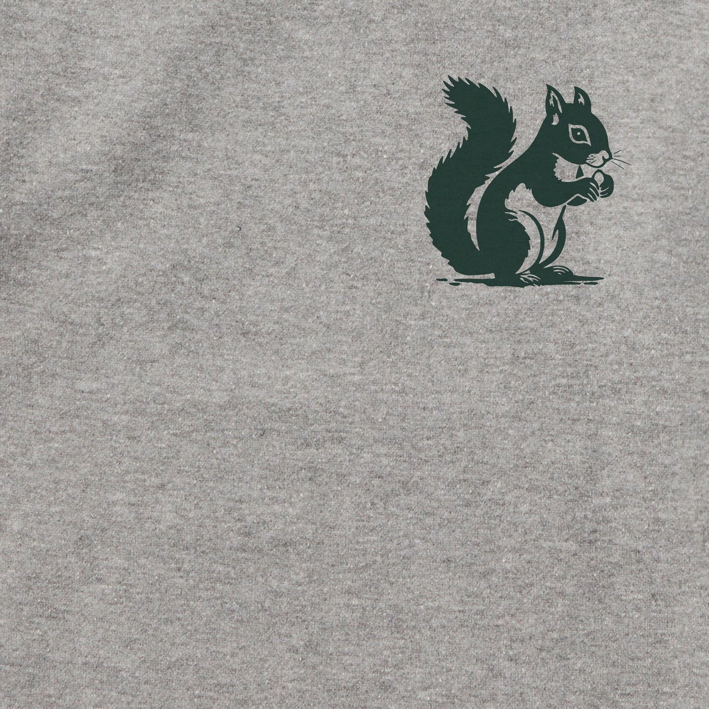 Kids Squirrels Run the World Every Wear Hoodie Sweatshirt
