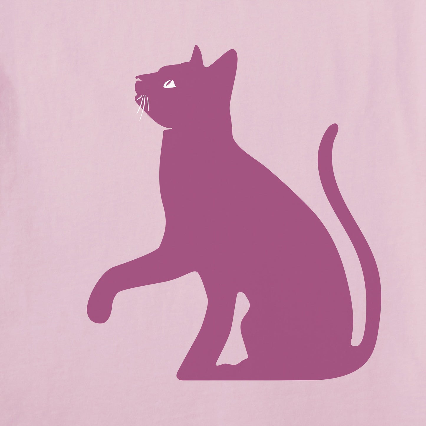Women's Two Curious Cats Short Sleeve Crusher Tee