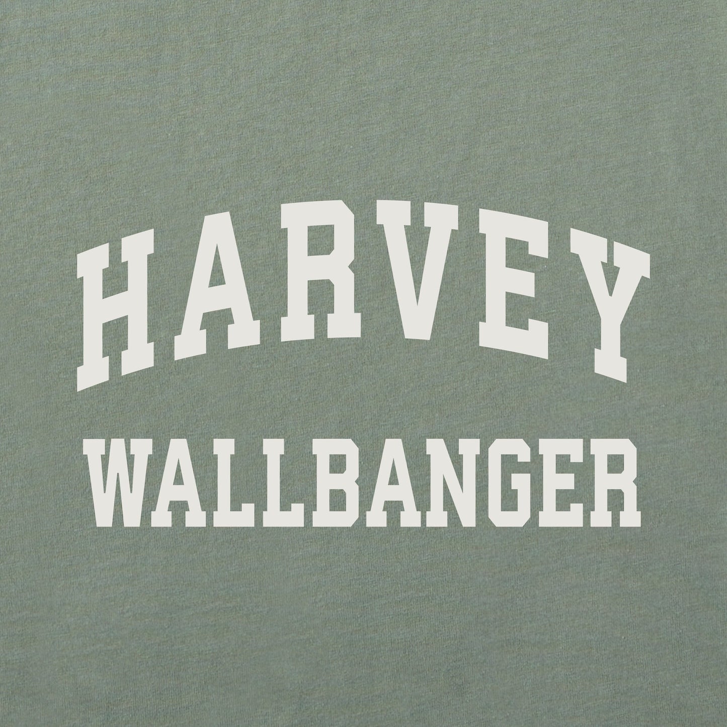 Men's Harvey Wallbanger Arch Long Sleeve Crusher Tee
