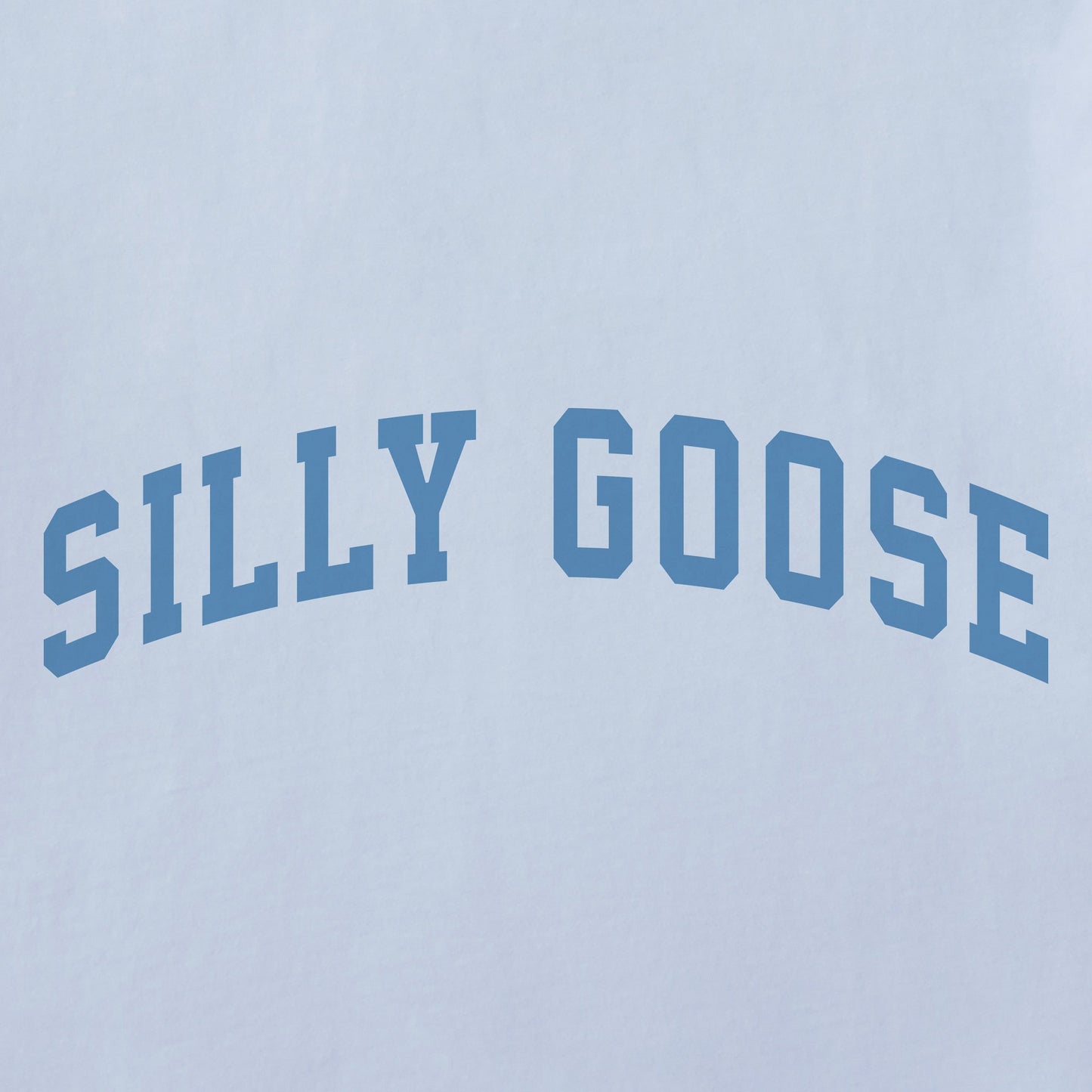 Women's Silly Goose Arch Short Sleeve Crusher Boxy Tee