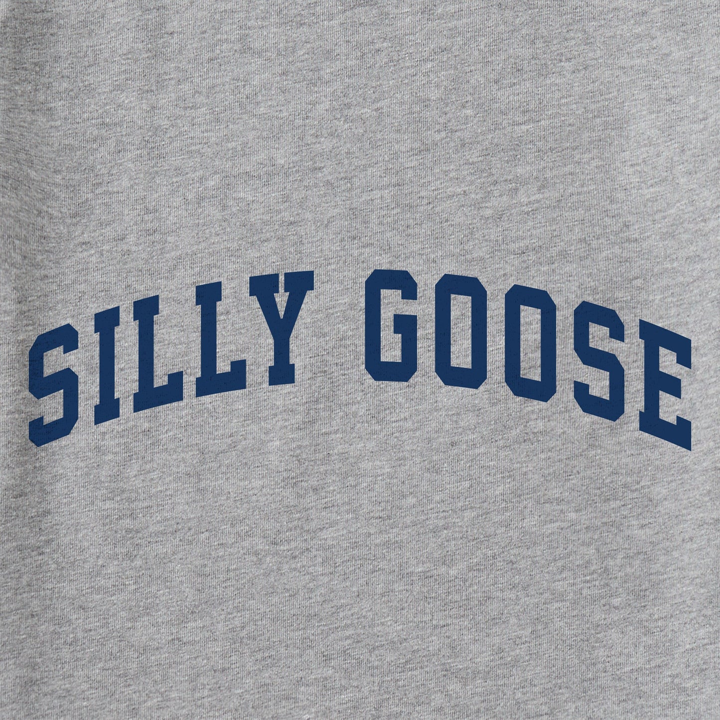 Men's Silly Goose Arch Short Sleeve Crusher Tee
