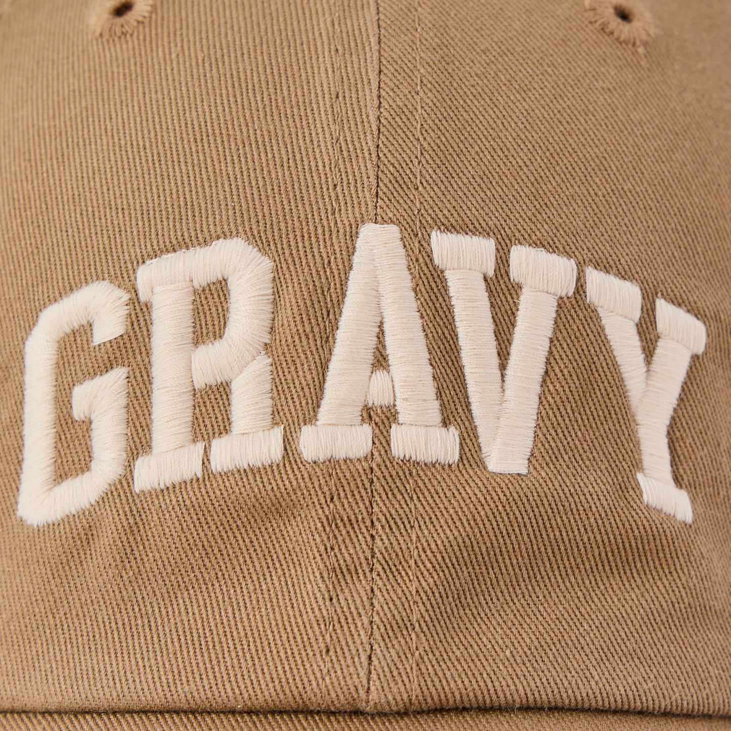 Adult Unisex Gravy Athletic Arch Chill Cap