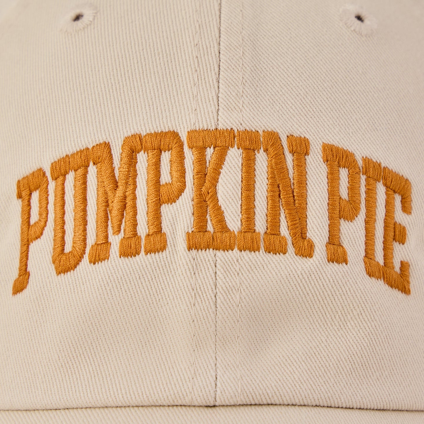 Adult Unisex Pumpkin Pie Athletic Arch Chill Cap
