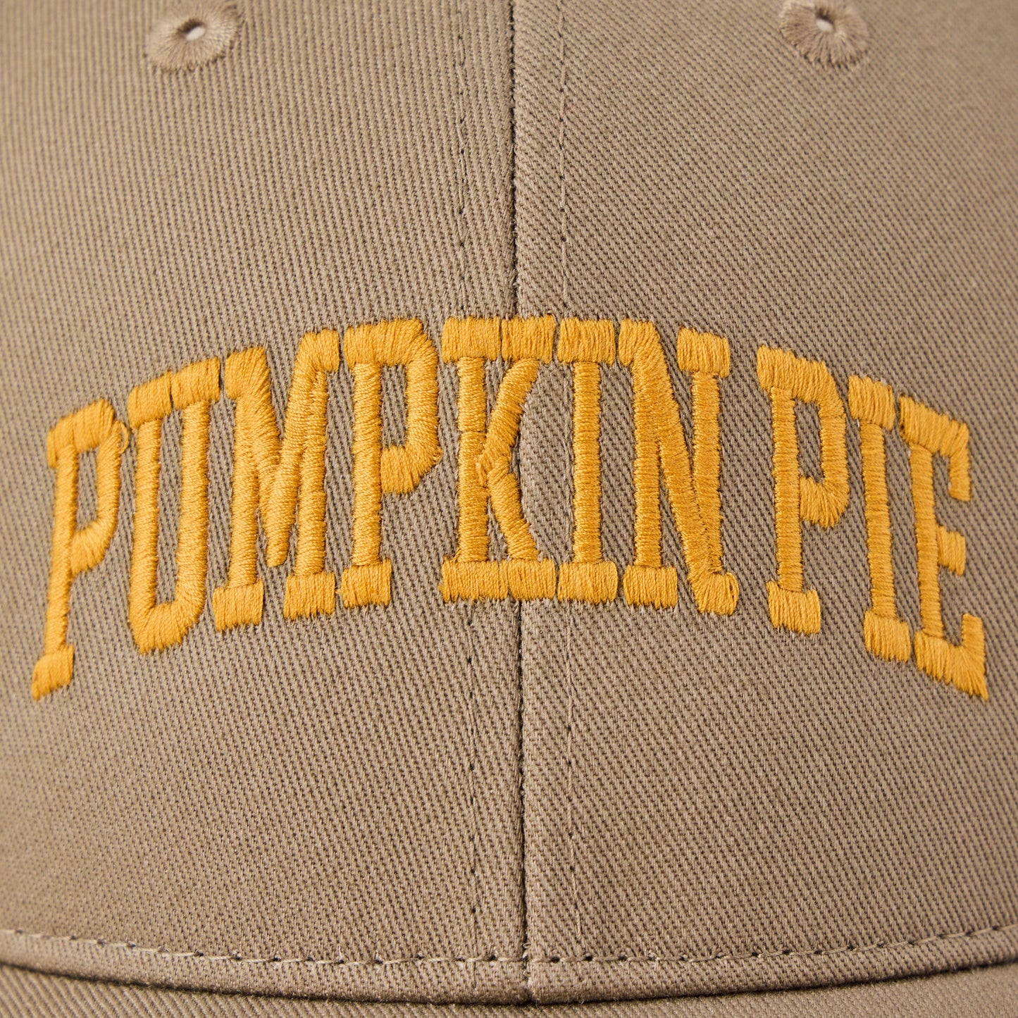 Adult Unisex Pumpkin Pie Athletic Arch Trucker