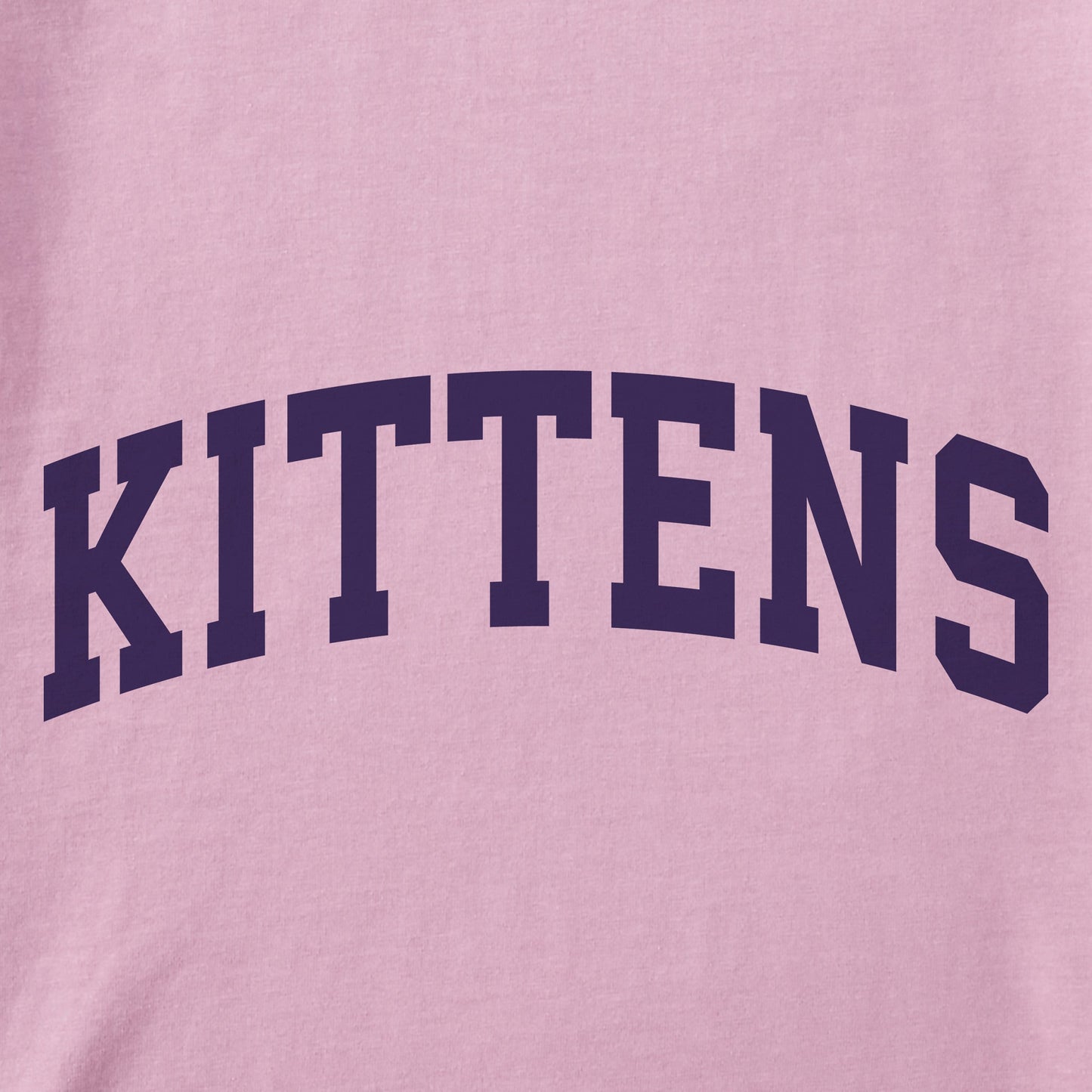 Kids Kittens Arch Short Sleeve Crusher Tee