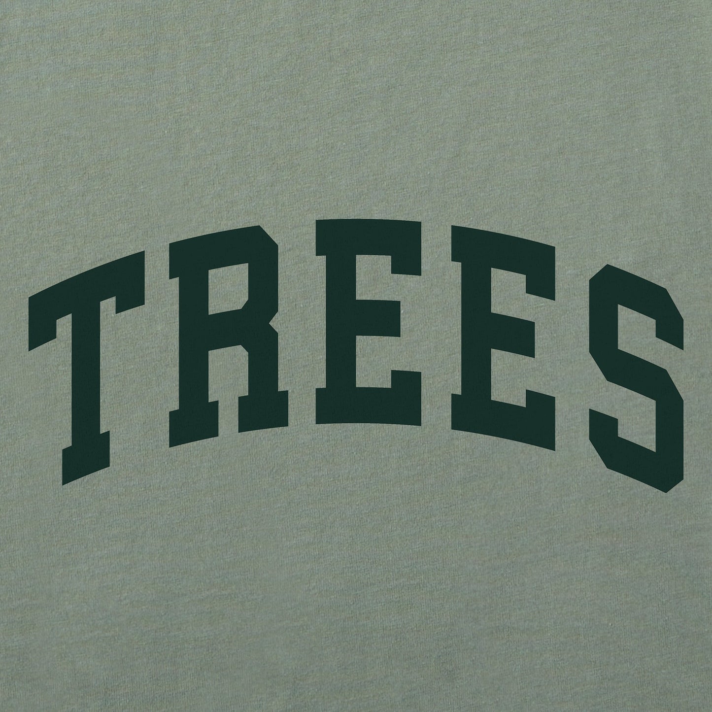 Women's Trees Arch Long Sleeve Crusher Tee