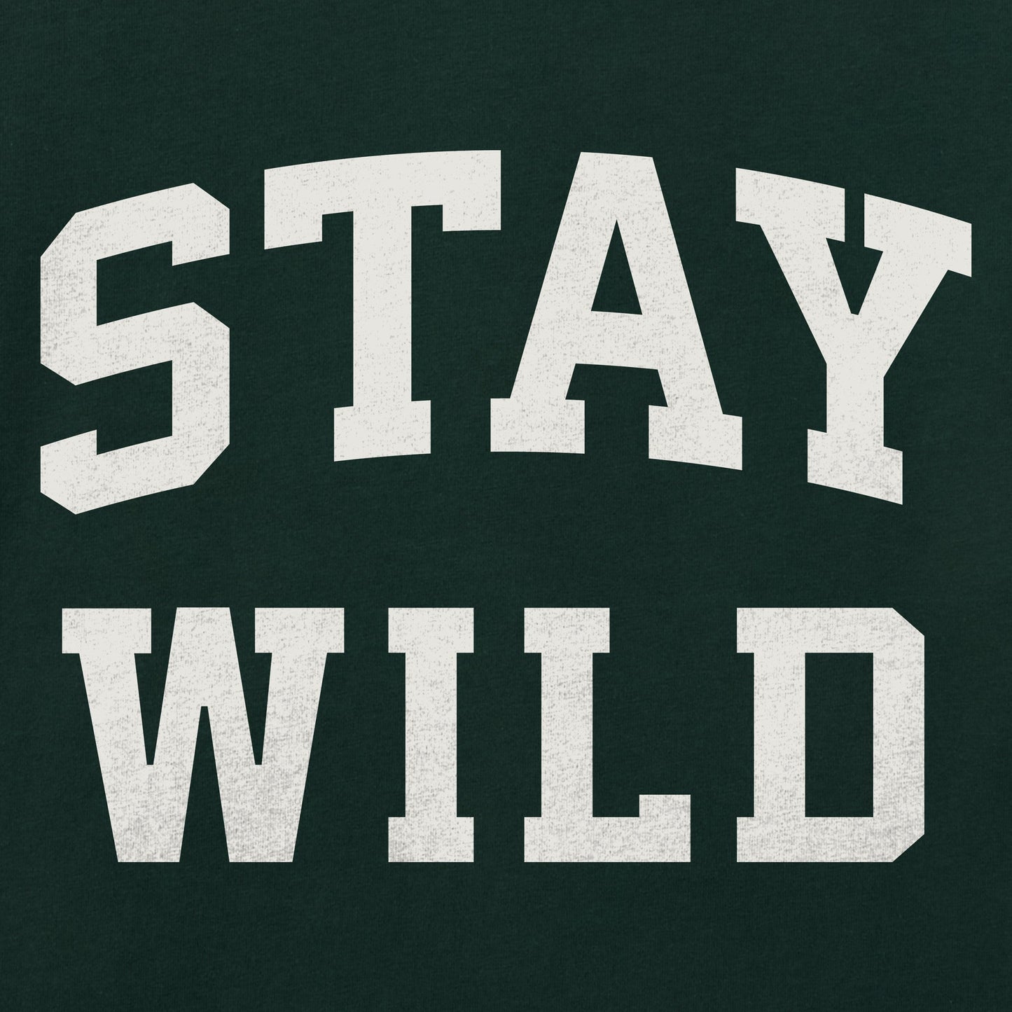 Men's Stay Wild Arch Short Sleeve Crusher Tee