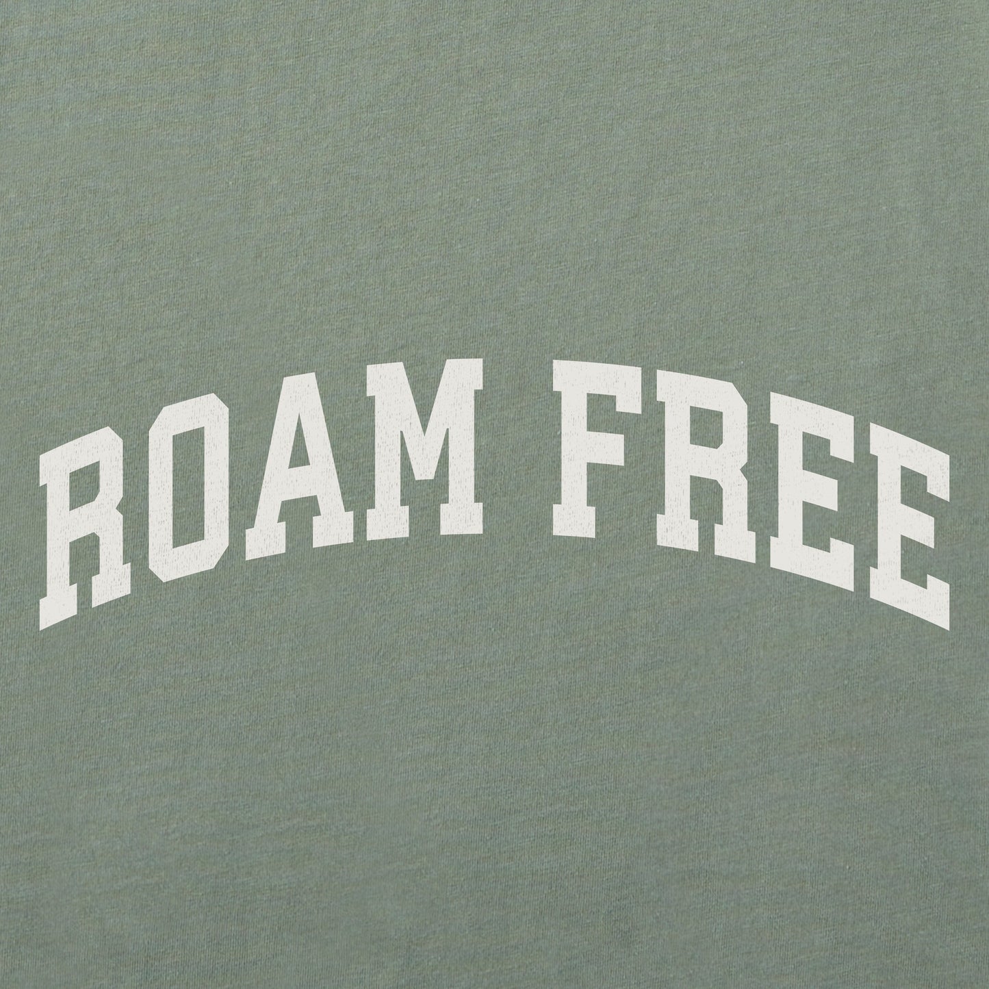 Women's Roam Free Arch Short Sleeve Crusher Boxy Tee