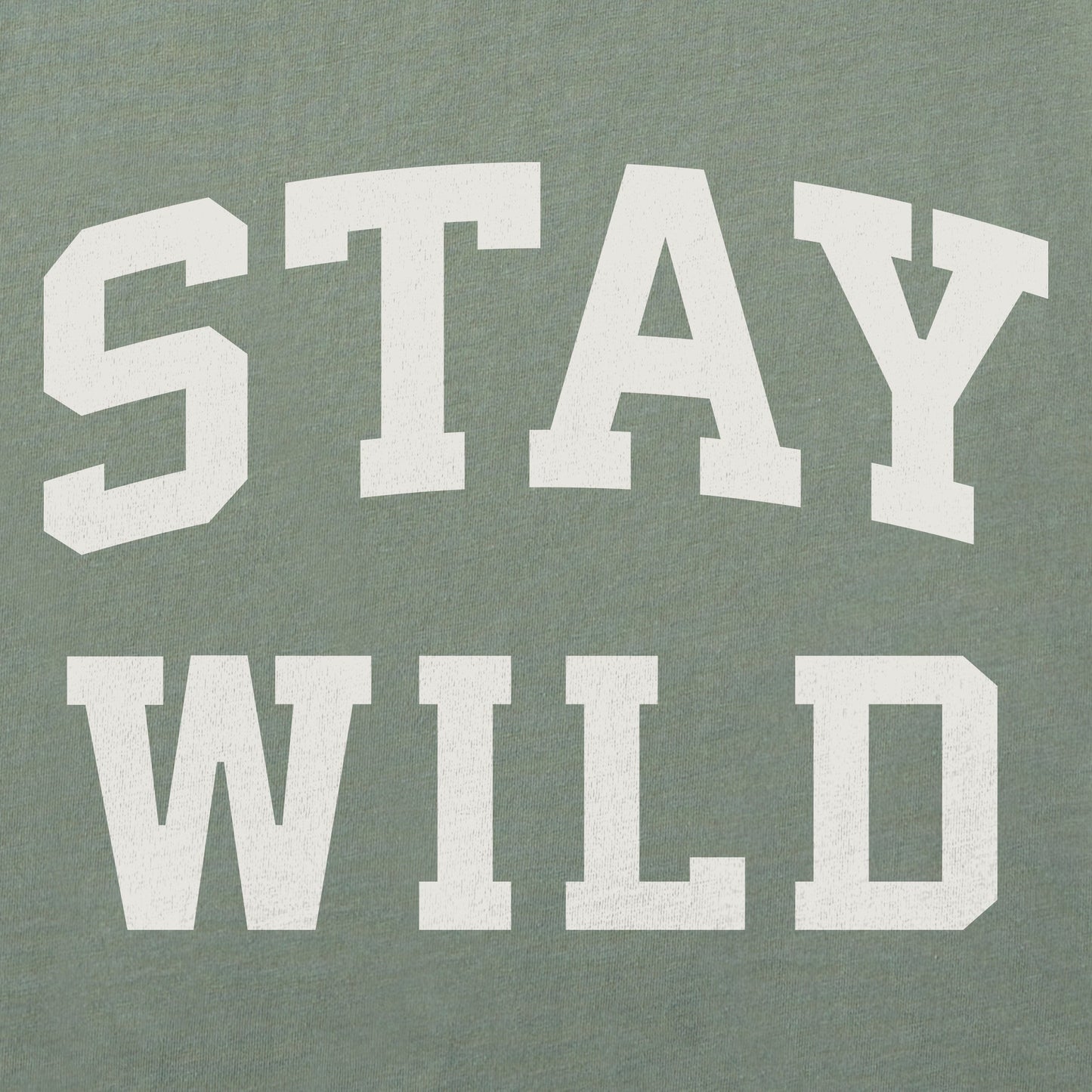 Women's Stay Wild Arch Crusher-LITE Shrunken Tee