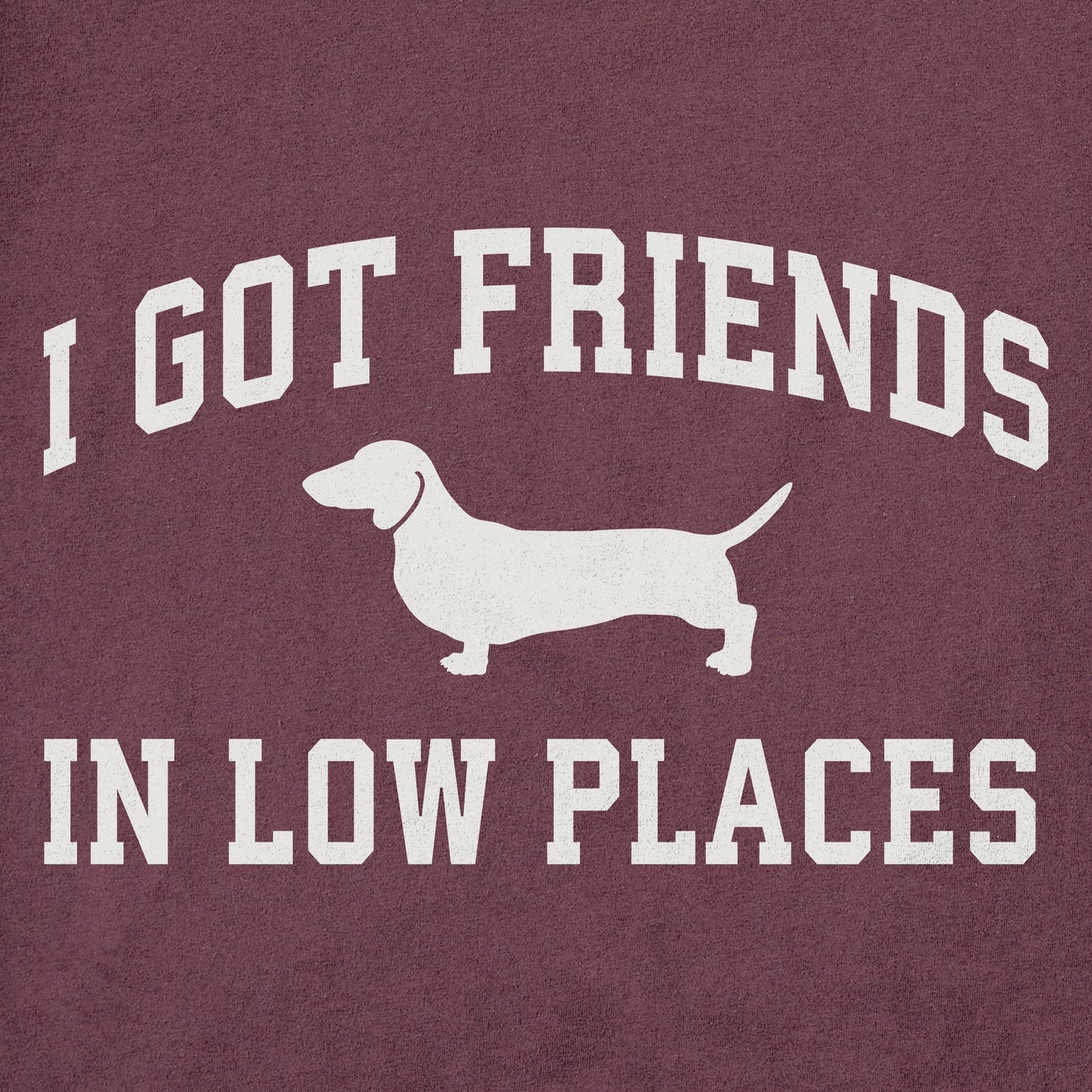 Men's I Got Friends Arch Short Sleeve Crusher Tee